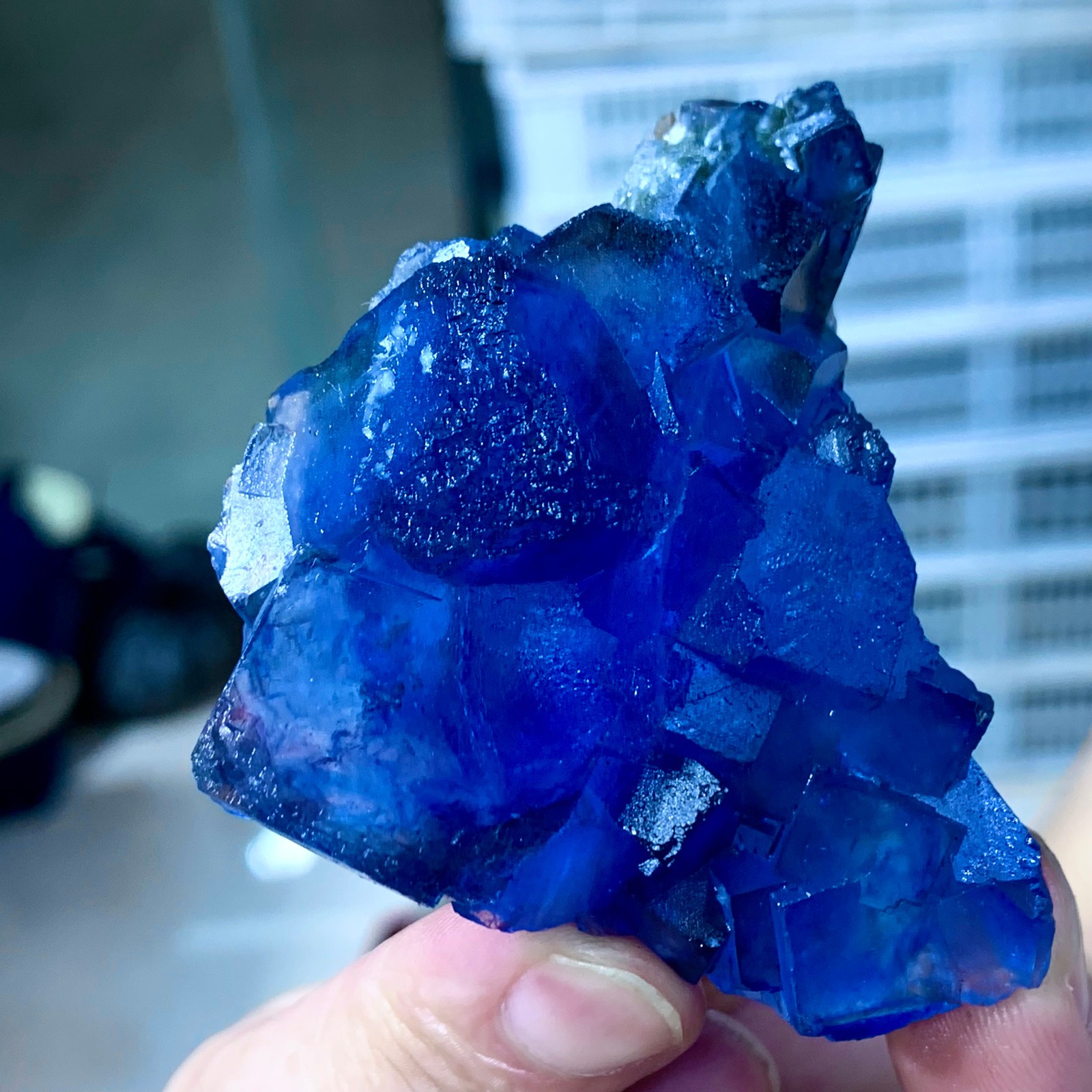 82G Rare transparent blue fluorite cubic mineral crystal sample/China