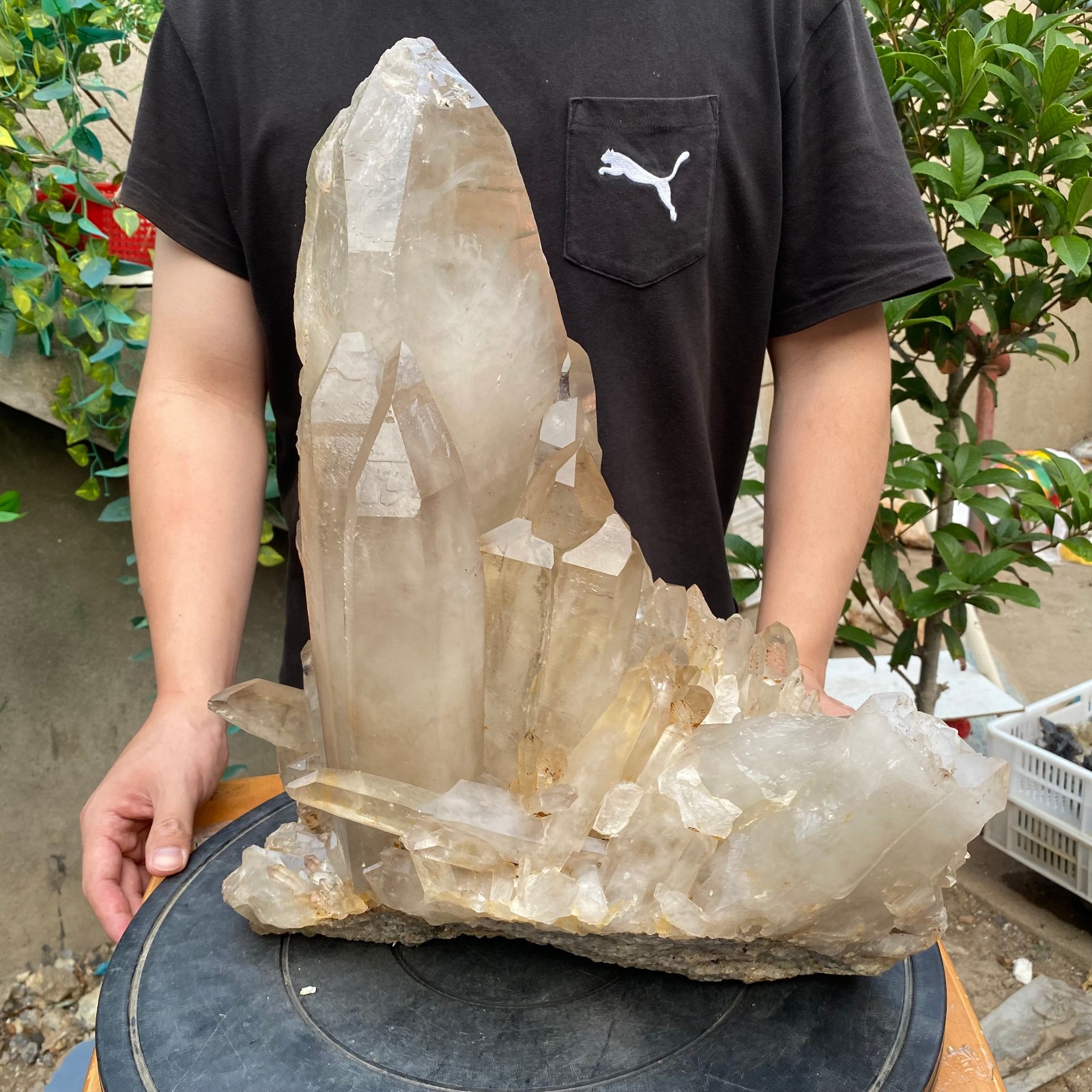 23900G A+Large Natural clear white Crystal Himalayan quartz cluster /mineralsls