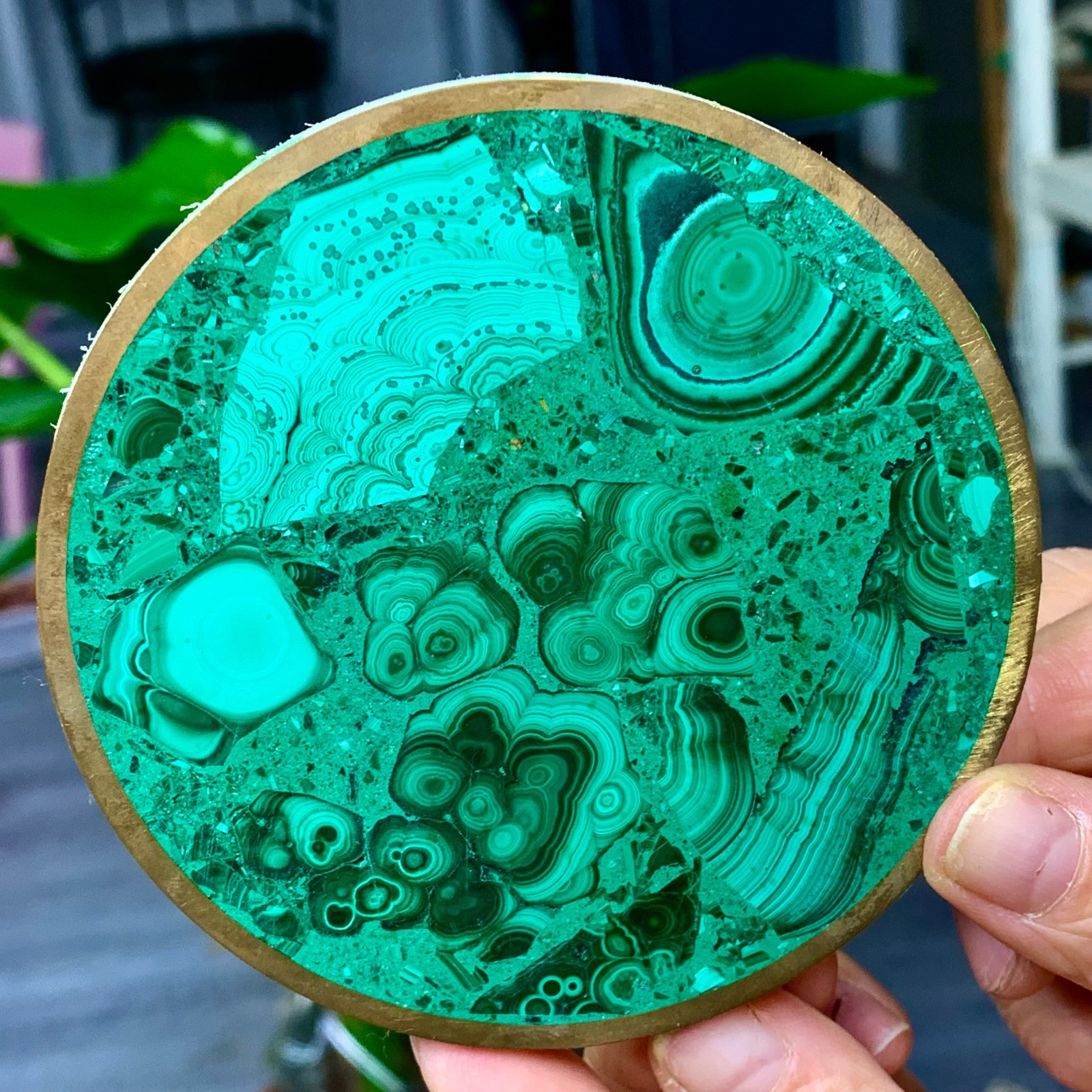 123G Natural glossy Malachite Disc-shaped crystal mineral sample A283