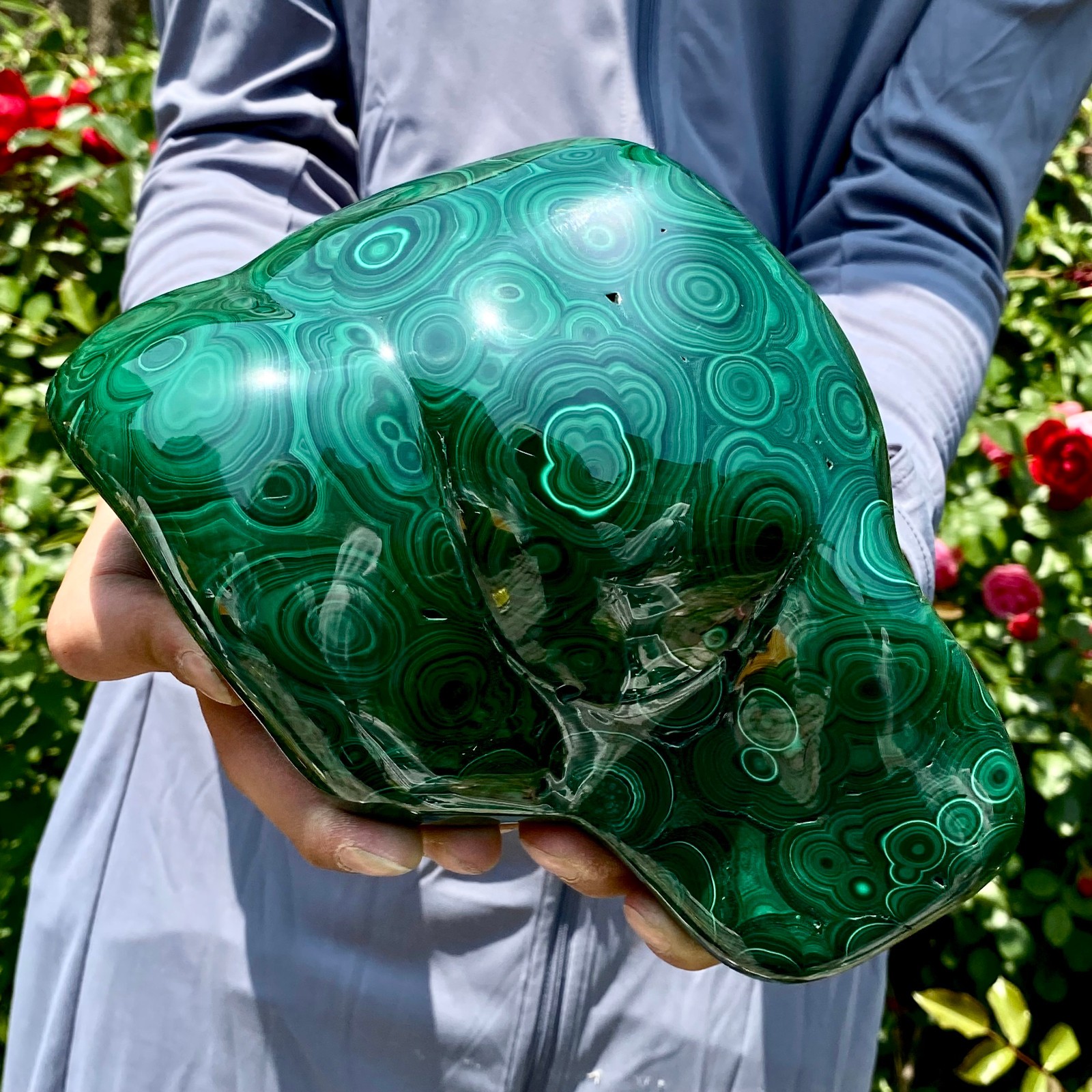 8.5LB Natural glossy Malachite egg transparent cluster rough mineral sample