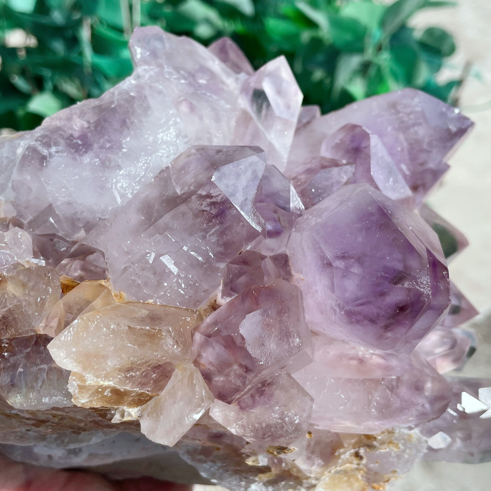 ALL 10.3LB Natural Amethyst Quartz Cluster Crystal Mineral Point Healing C2641