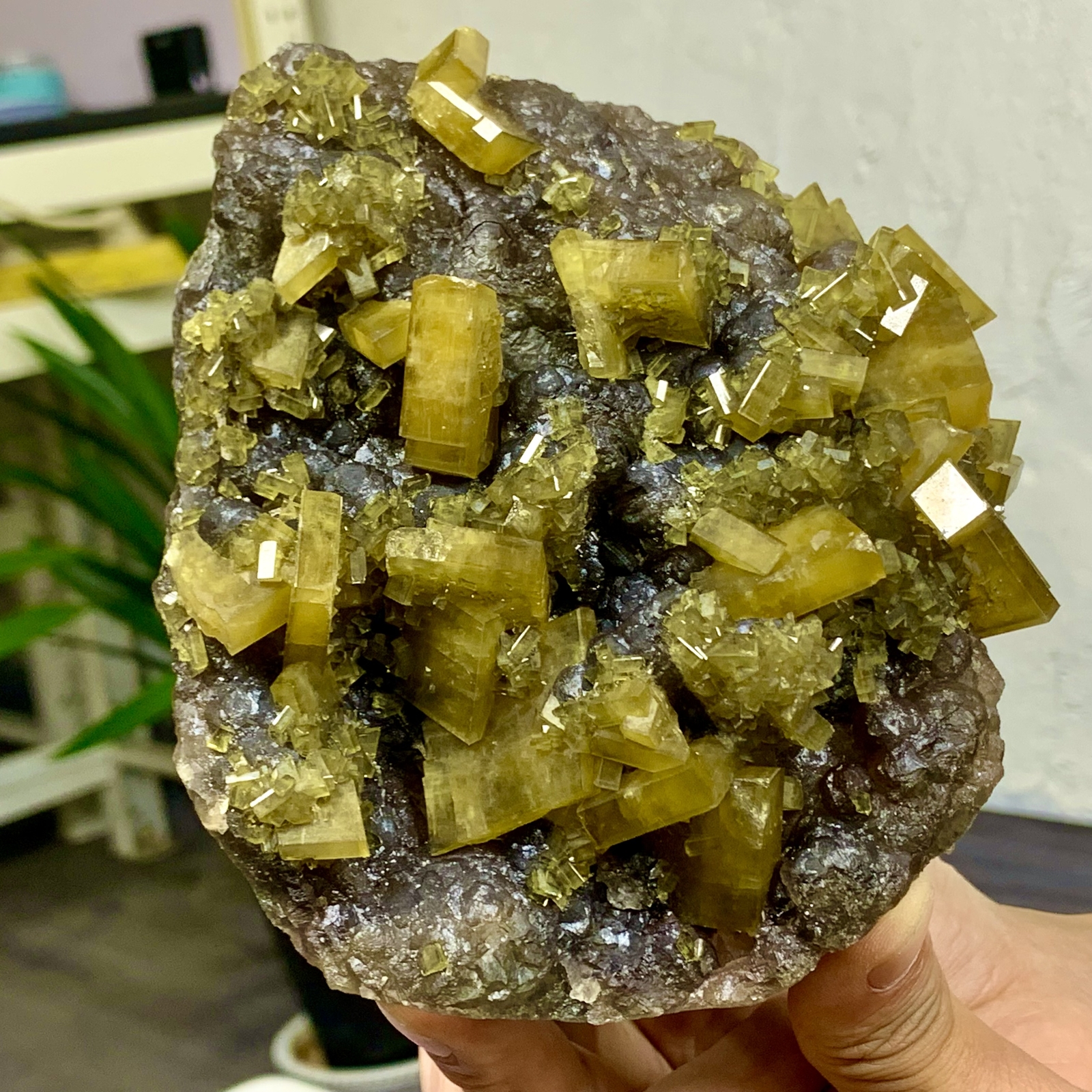 2.76LB Shiny Golden Cuboid Barite Crystal Based on the Purple Spherical Fluorite