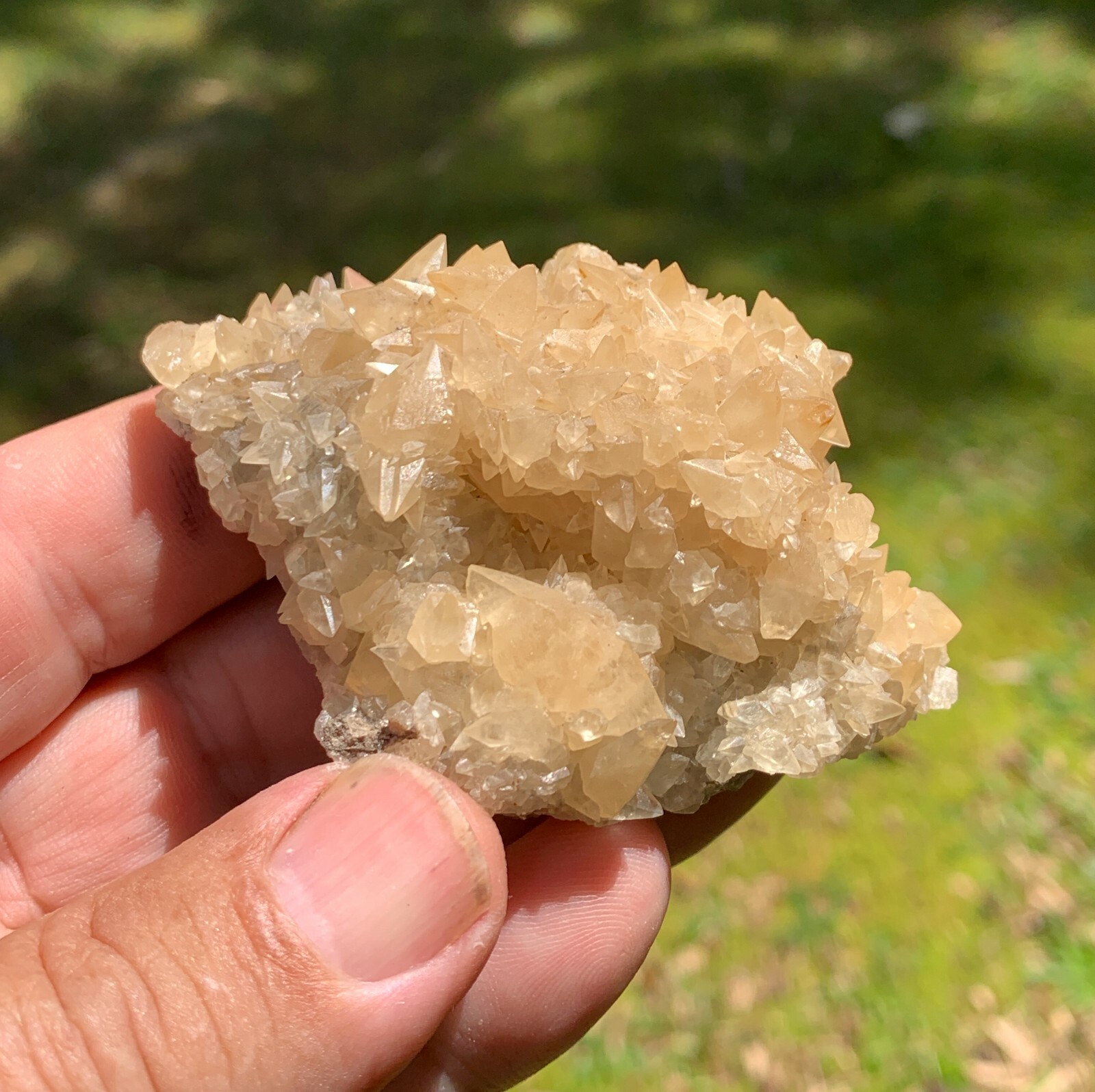 ☆ 2-1/2 x 2 Inch – CALCITE Crystal Cluster ☆ Pugh Quarry Ohio ☆463