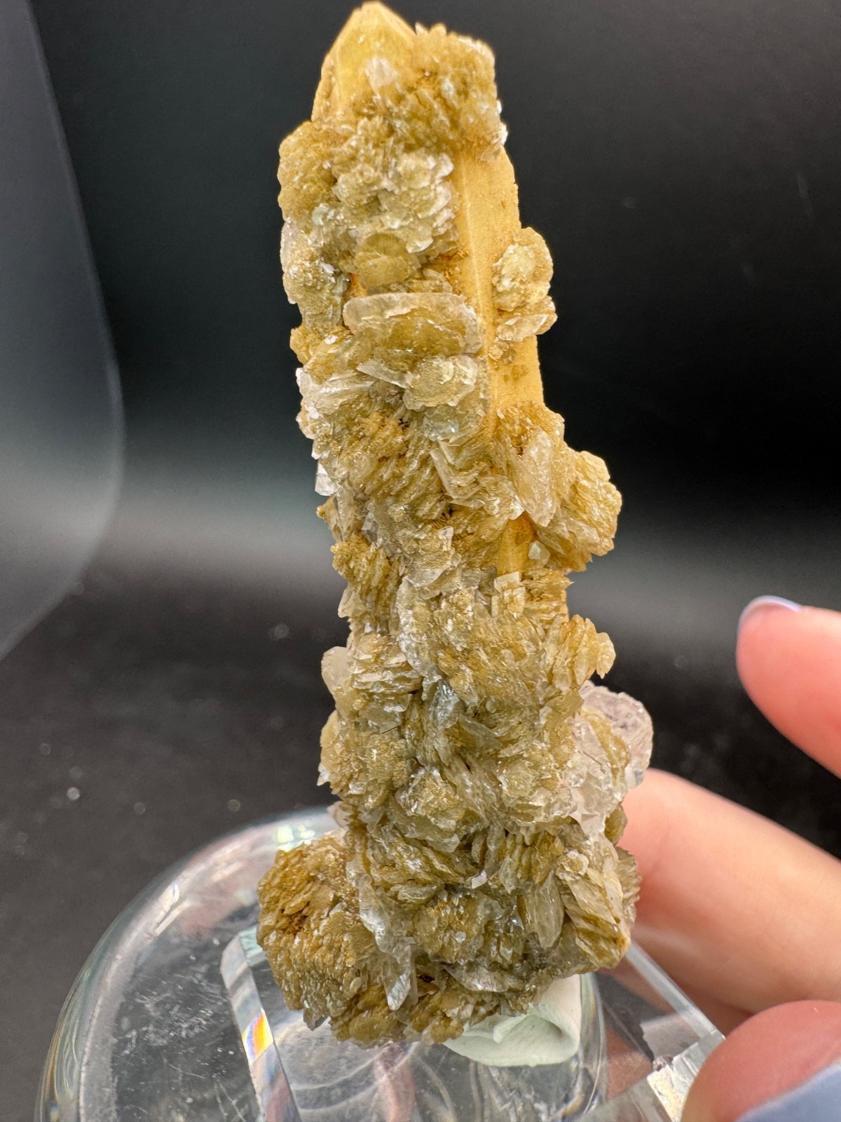 6631 Yellow Candle Quartz Point with Petal Calcite Inner Mongolia 28g