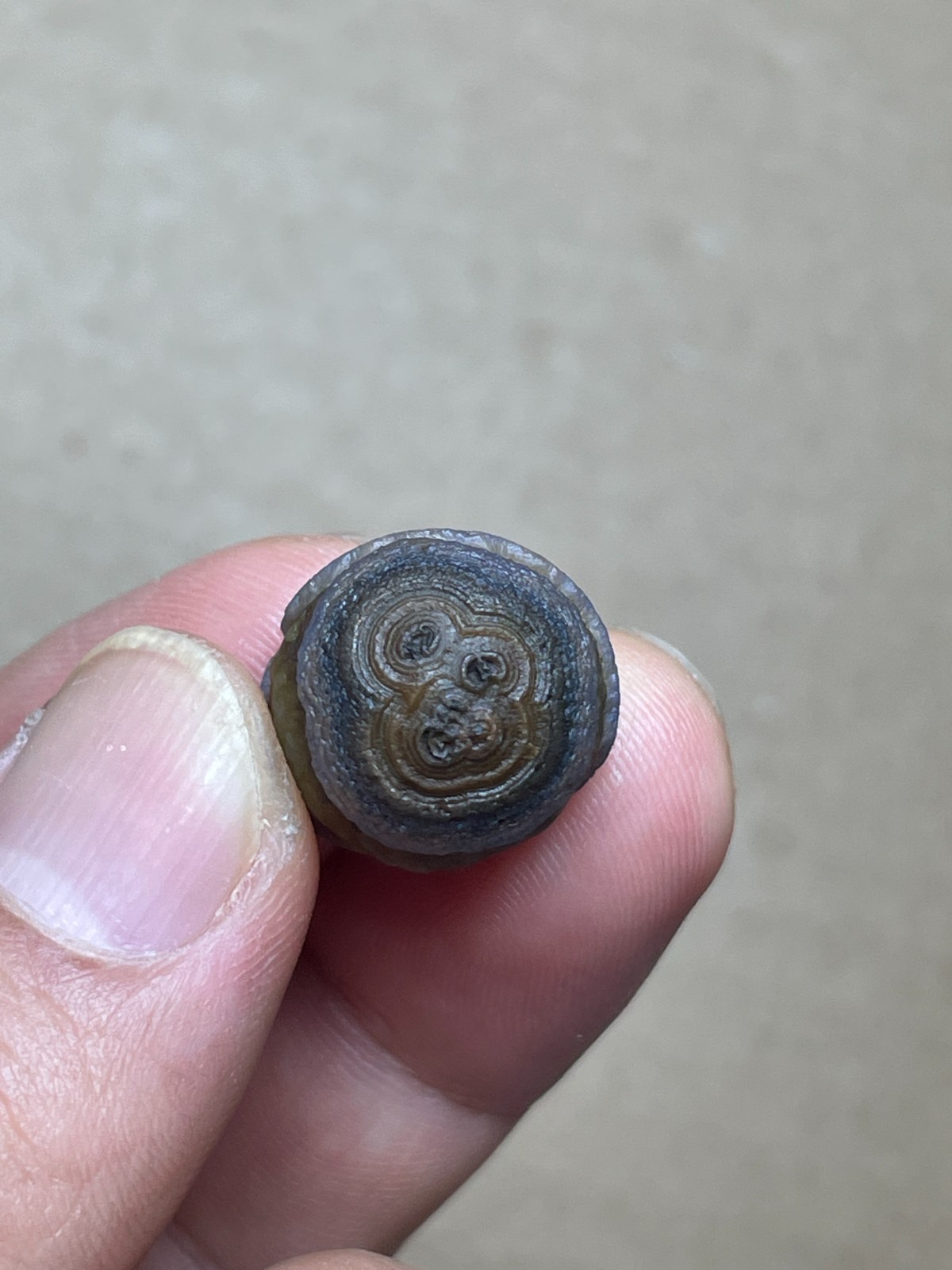 19mm Beautiful Natural agate Gobi agate eye agate cute collection