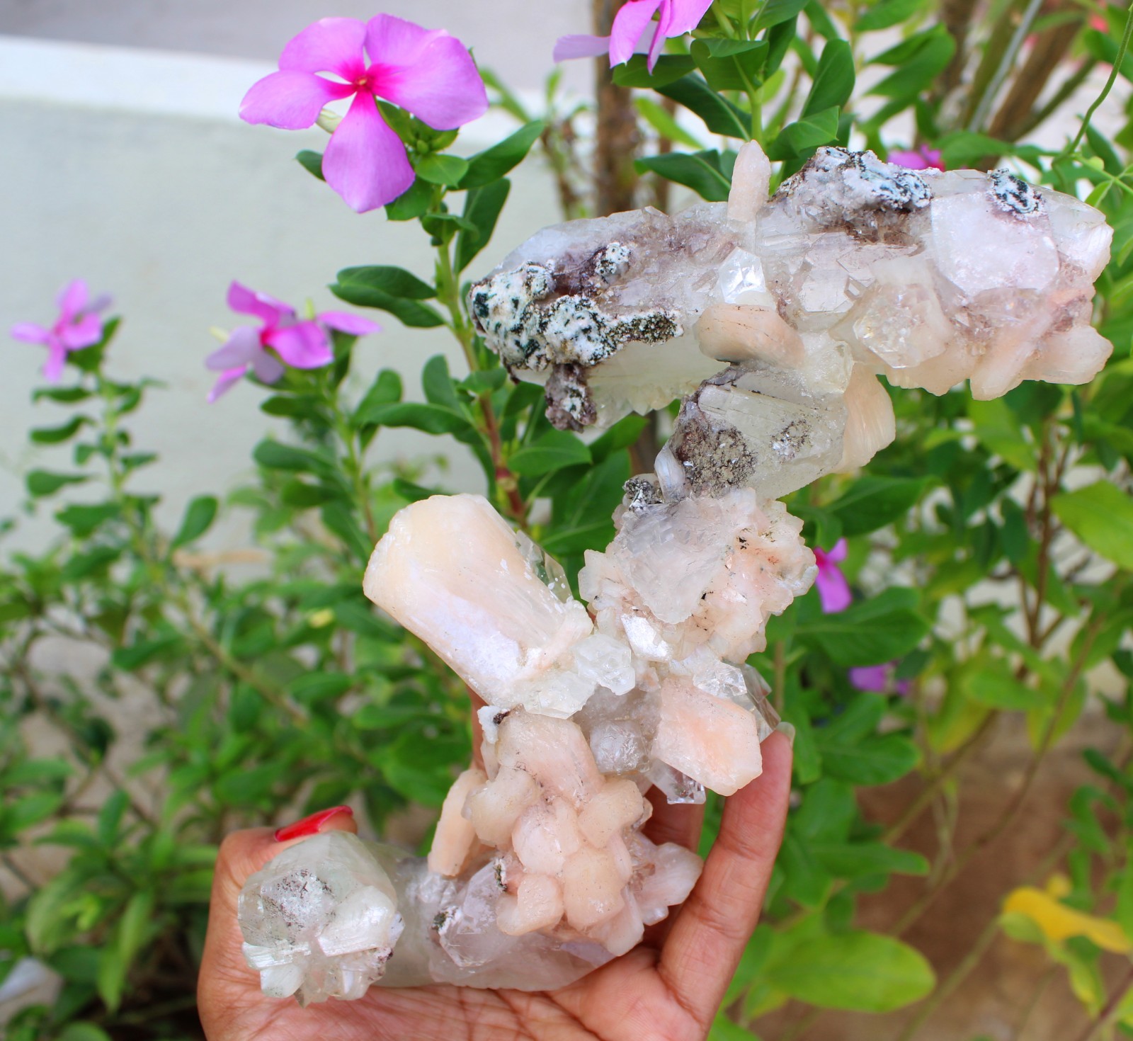 Apophyllite Crystals w/ Stilbite Formation Minerals Specimen ( 21×10 ) REPAIR