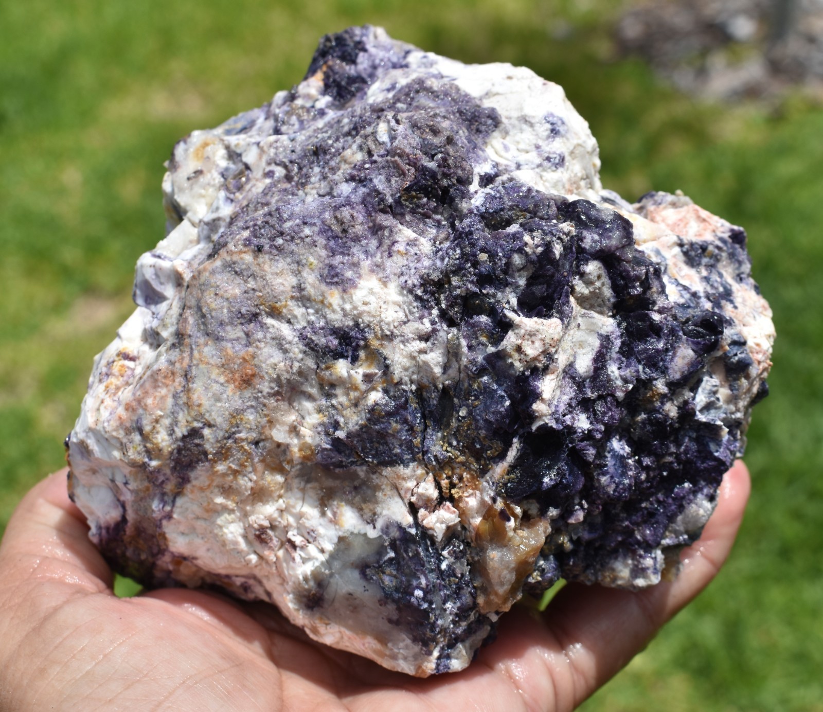 1.42 LB AAA OPALIZED TIFFANY STONE ROUGH, Bertrandite, FLUORITE (KLT)