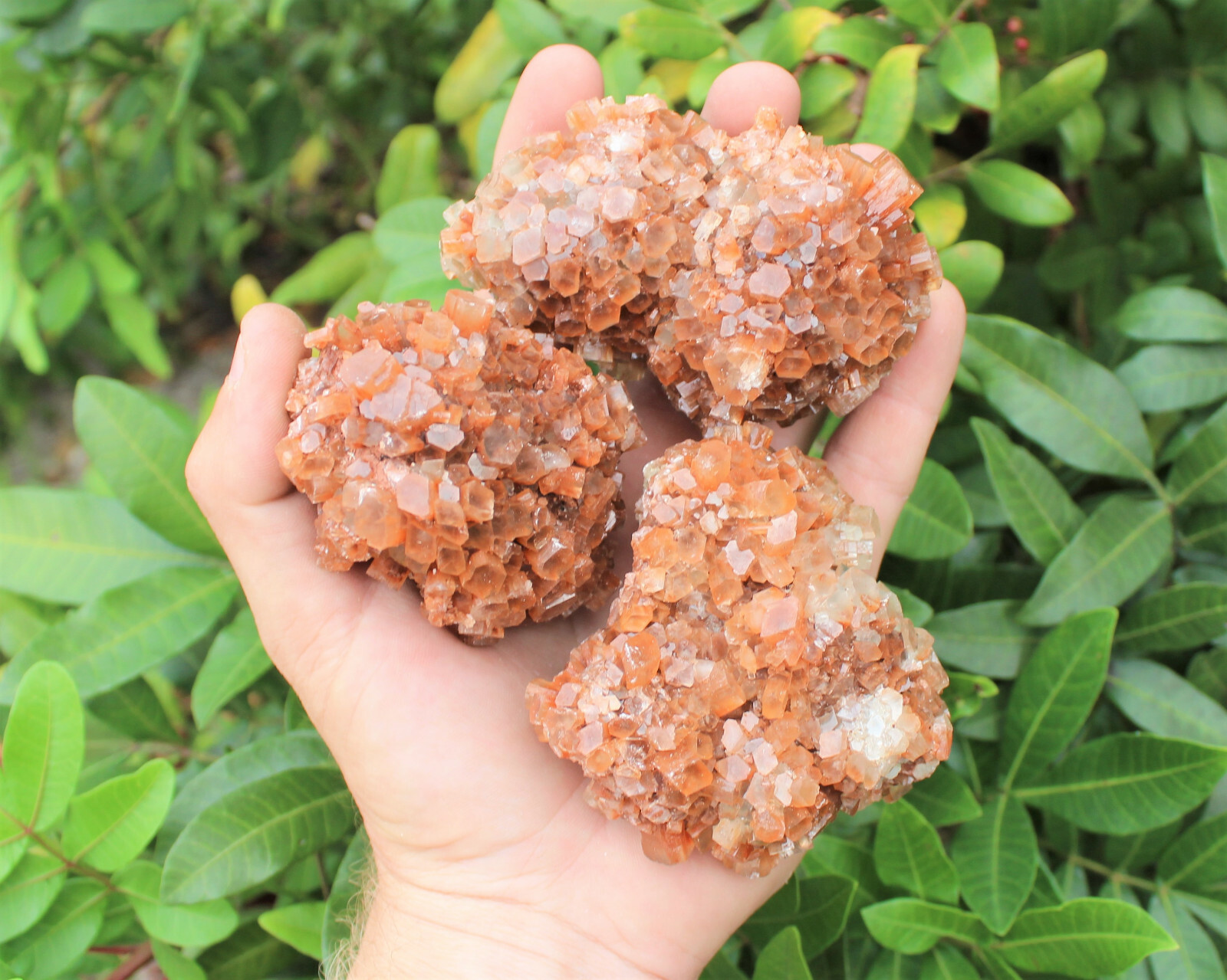 Aragonite Clusters from Morocco ‘A’ Grade Aragonite Crystals: You Choose Size!