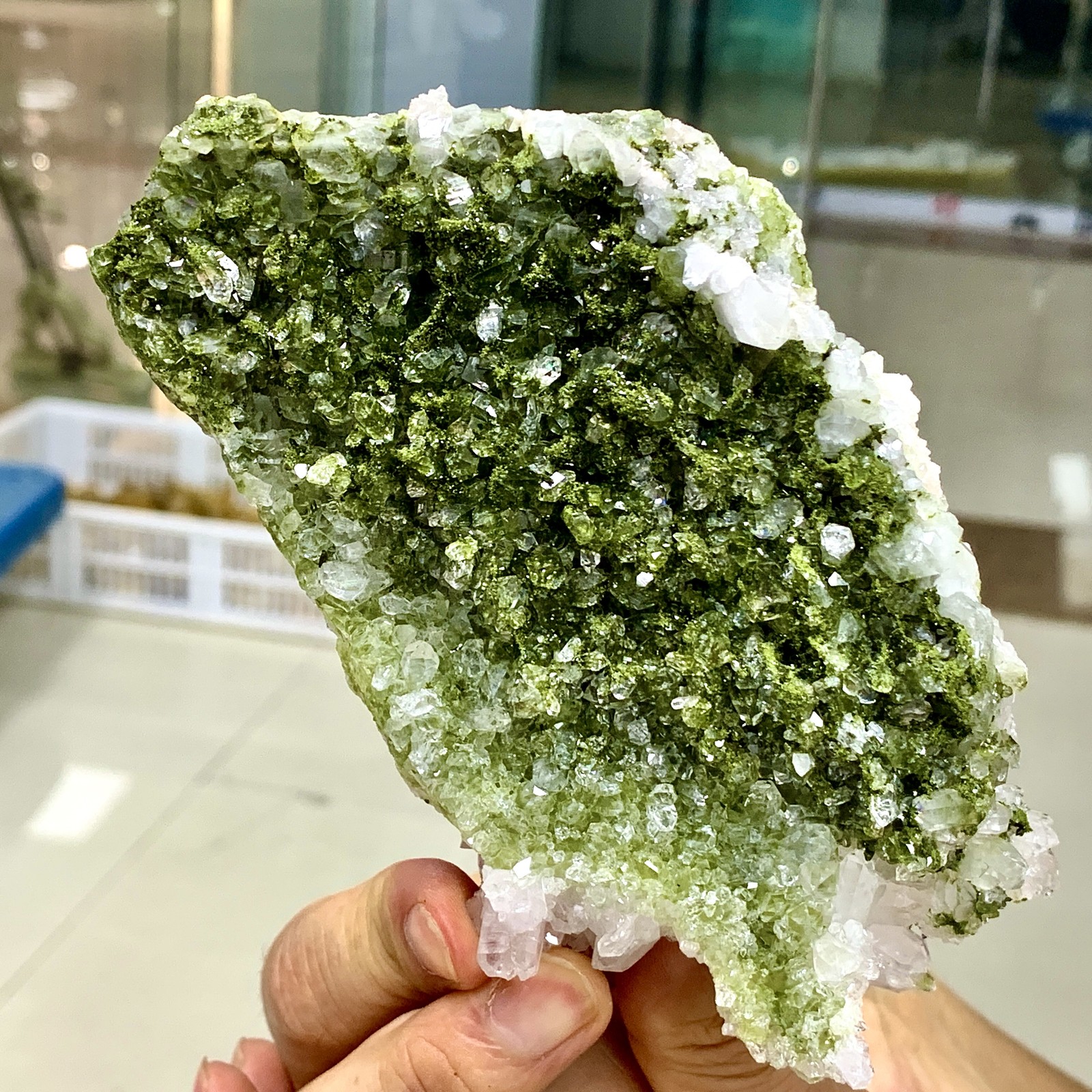 449G Natural green top-notch epidote quartz crystal minerals /Türkiye