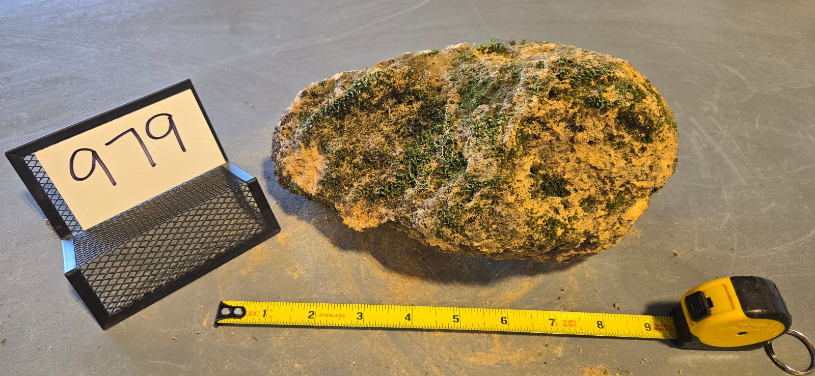 9″ Large Pumice Stone Floating Natural Rock Carnivorous Succulent Garden #979