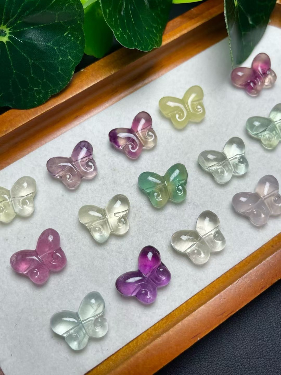 13*17mm Natural Flourite Butterfly quartz crystal Reiki healing Random 5pc
