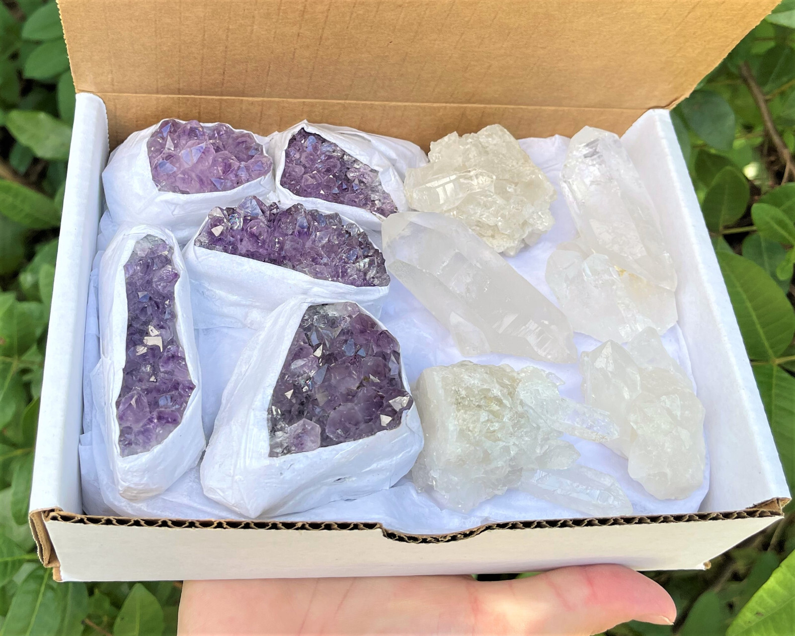 Wholesale Bulk Natural Amethyst & Clear Crystal Quartz Clusters: 8-14 Piece Lot
