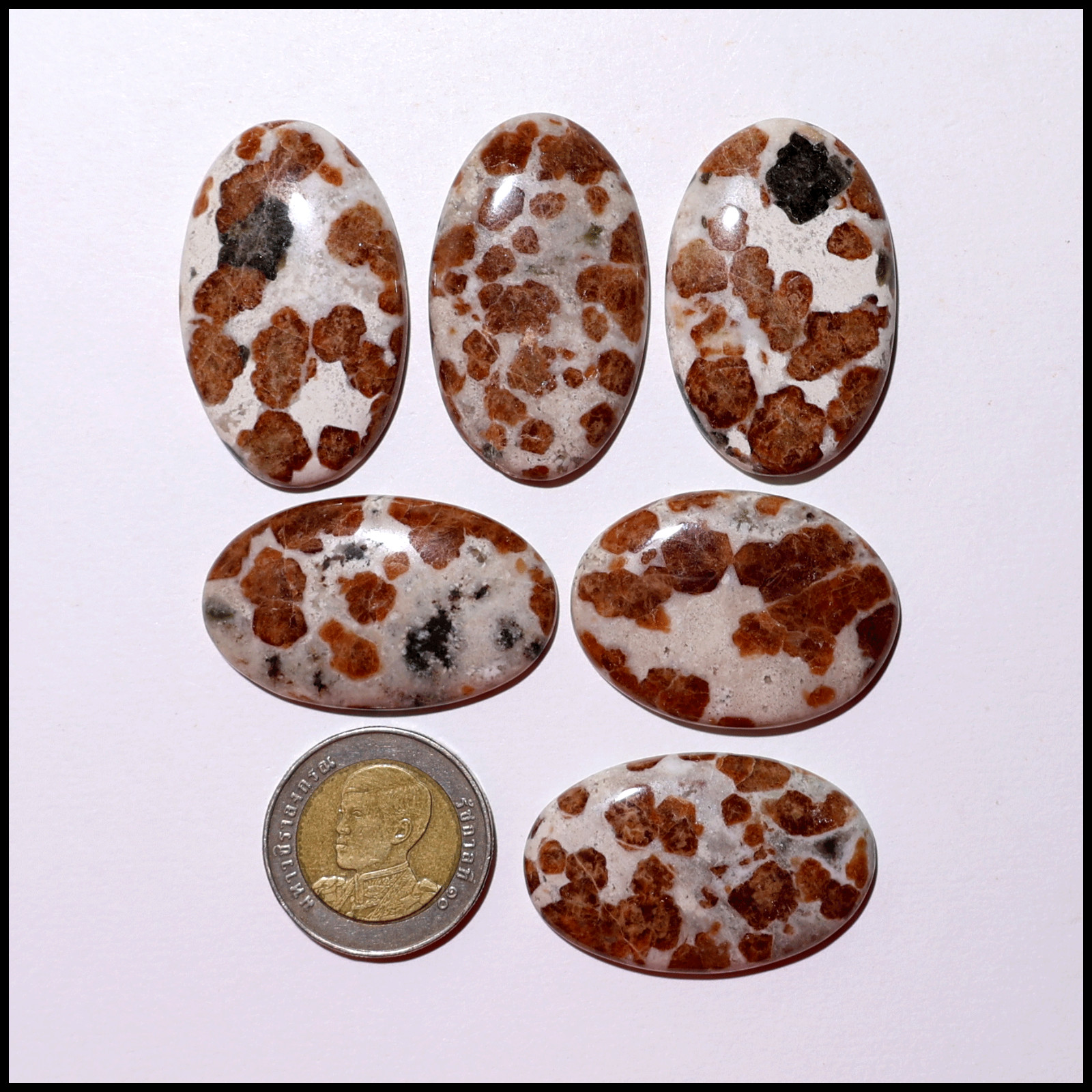 Fiery Blossoms – 6 PC Garnet In Wollastonite Crystals Set – Vitality & Strength