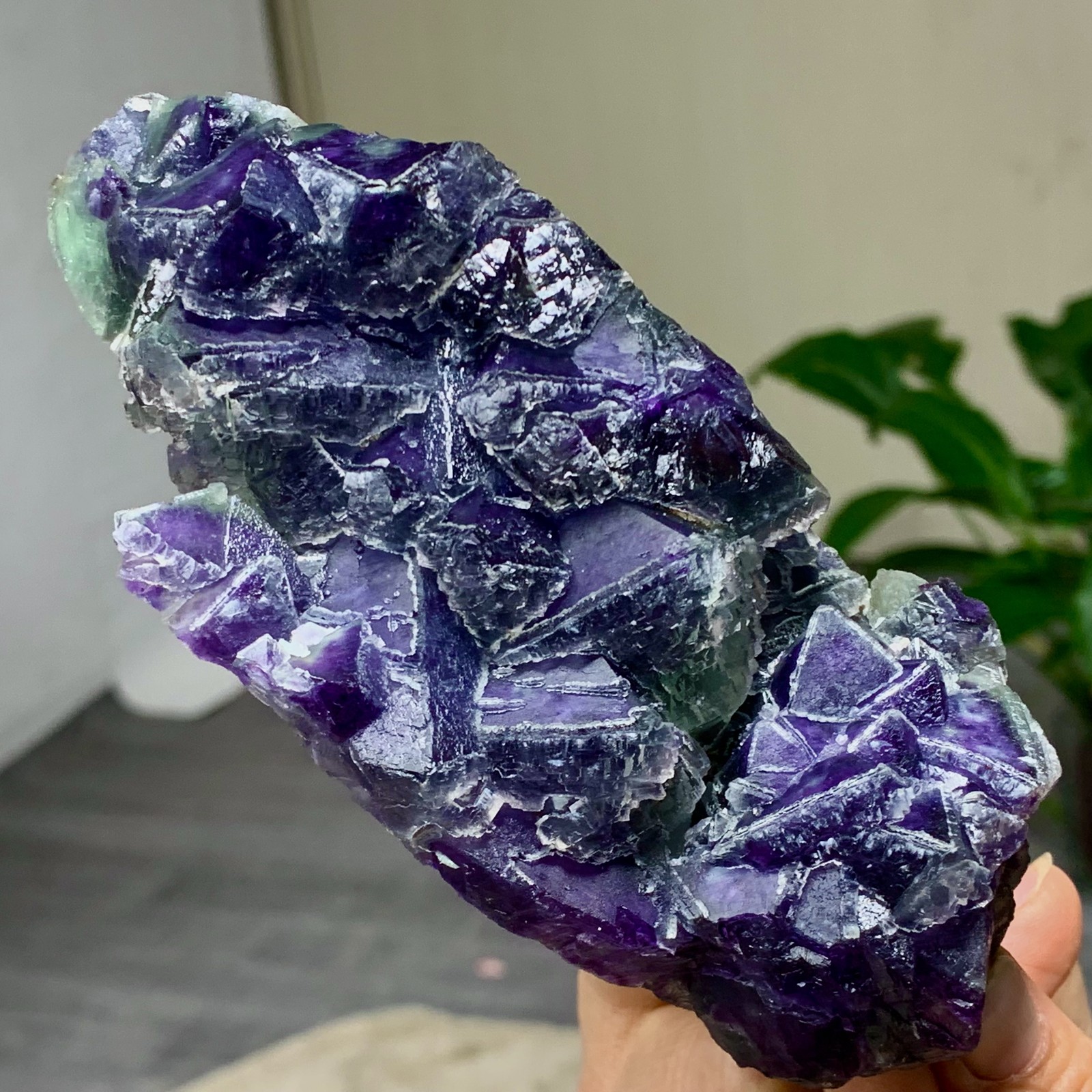 643G Rare transparent purple octahedron fluorite mineral crystal sample/China