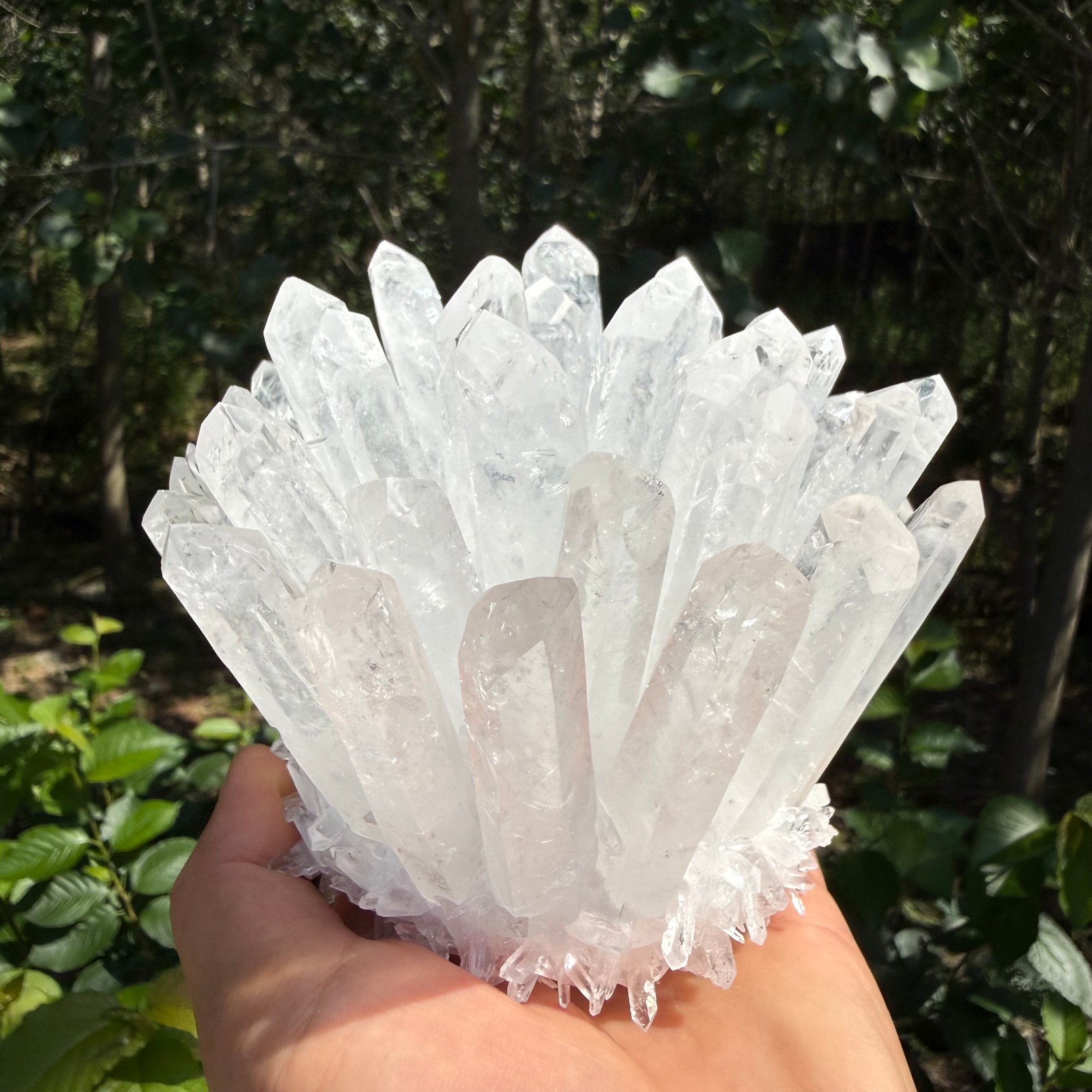 2.2LB Large Natural White Clear Quartz Cluster Crystal Mineral Healing 1pc