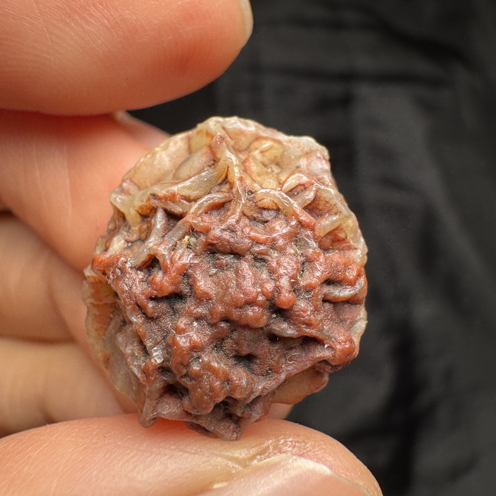2cm/4.4g Raw Alxa Gobi Vein Agate, Mongolia-5463