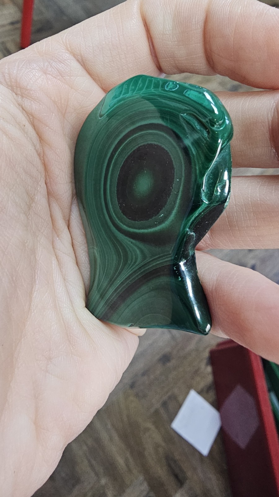 High Quality large Malachite crystal slice slab palm 24g 5.5cm