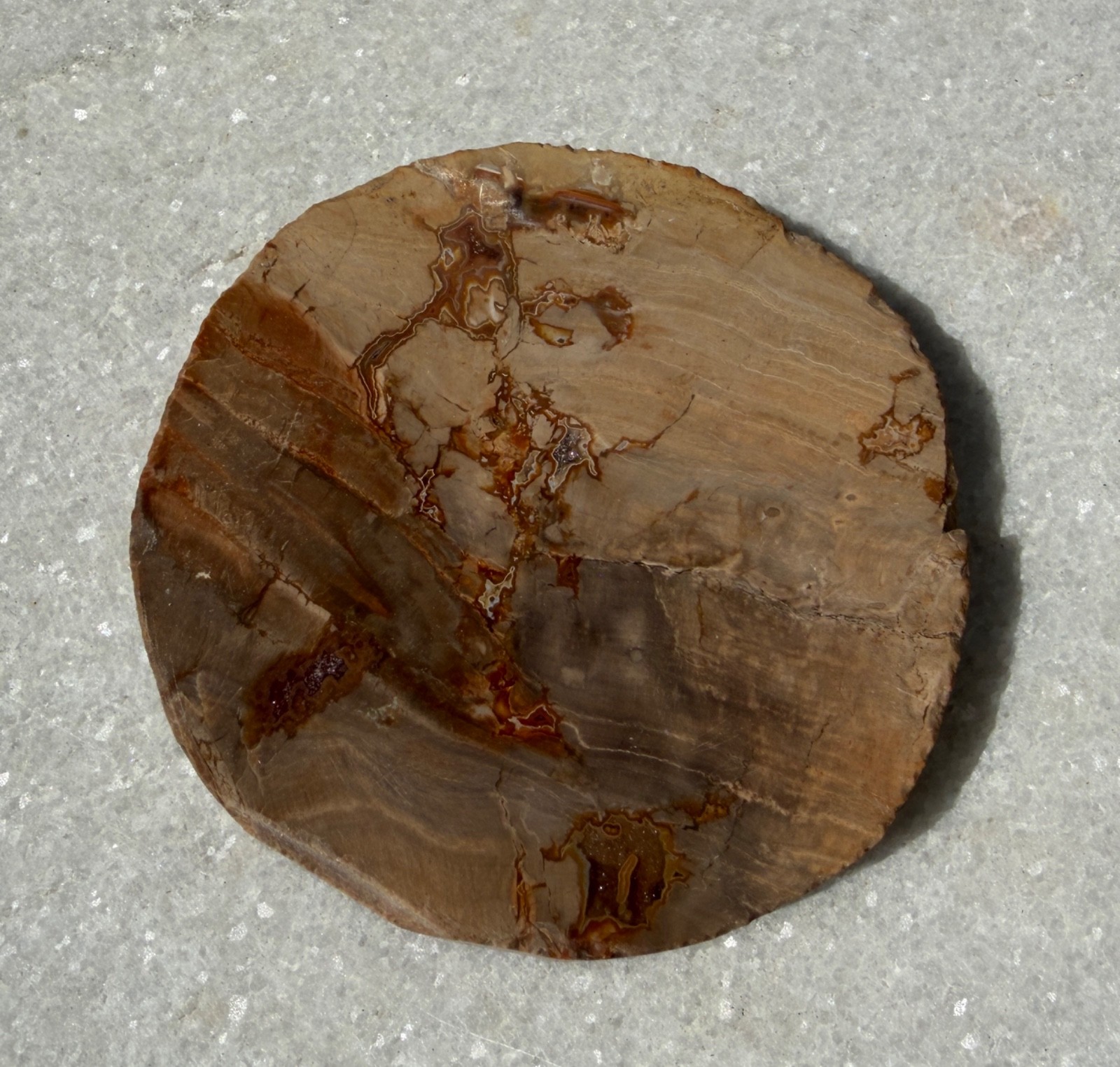 Wholesale Lot 4 Lbs Natural Petrified Wood Slabs Crystal Healing Energy