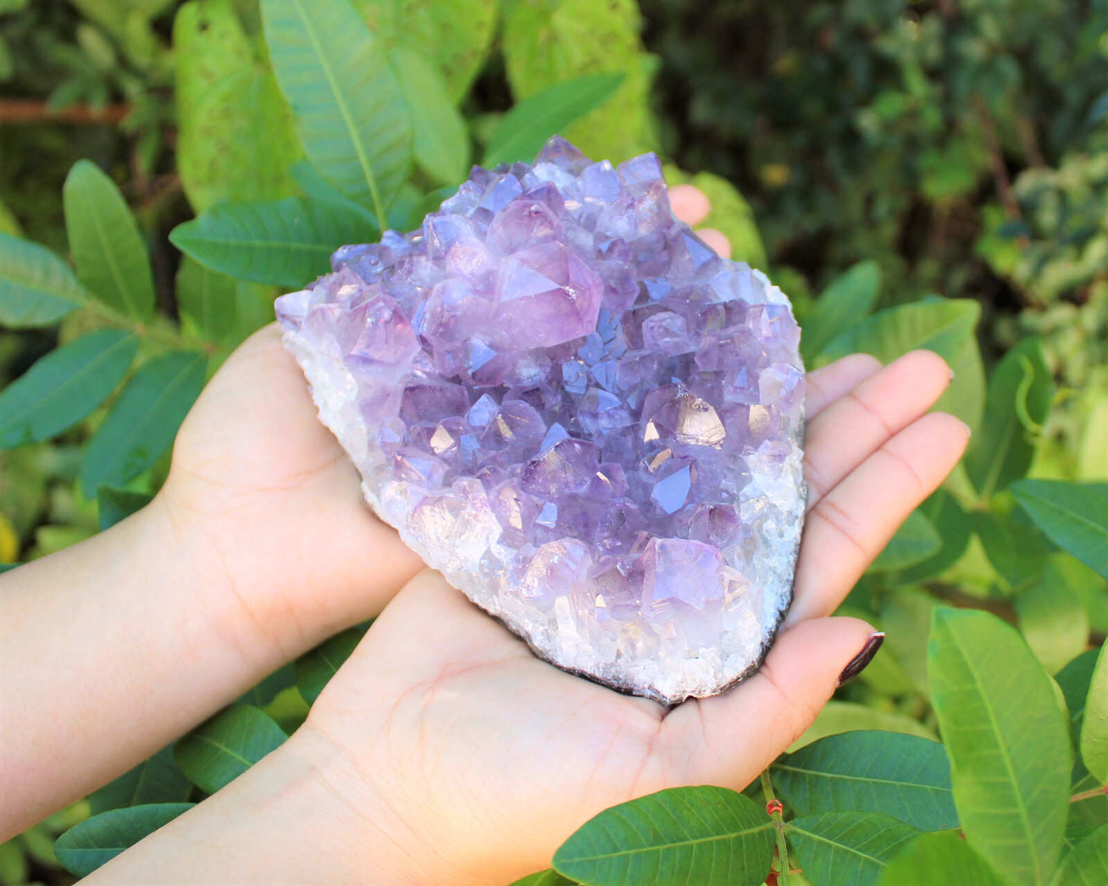 Clearance Amethyst Crystal Clusters – Natural ‘B’ Grade Cluster Druze Specimens