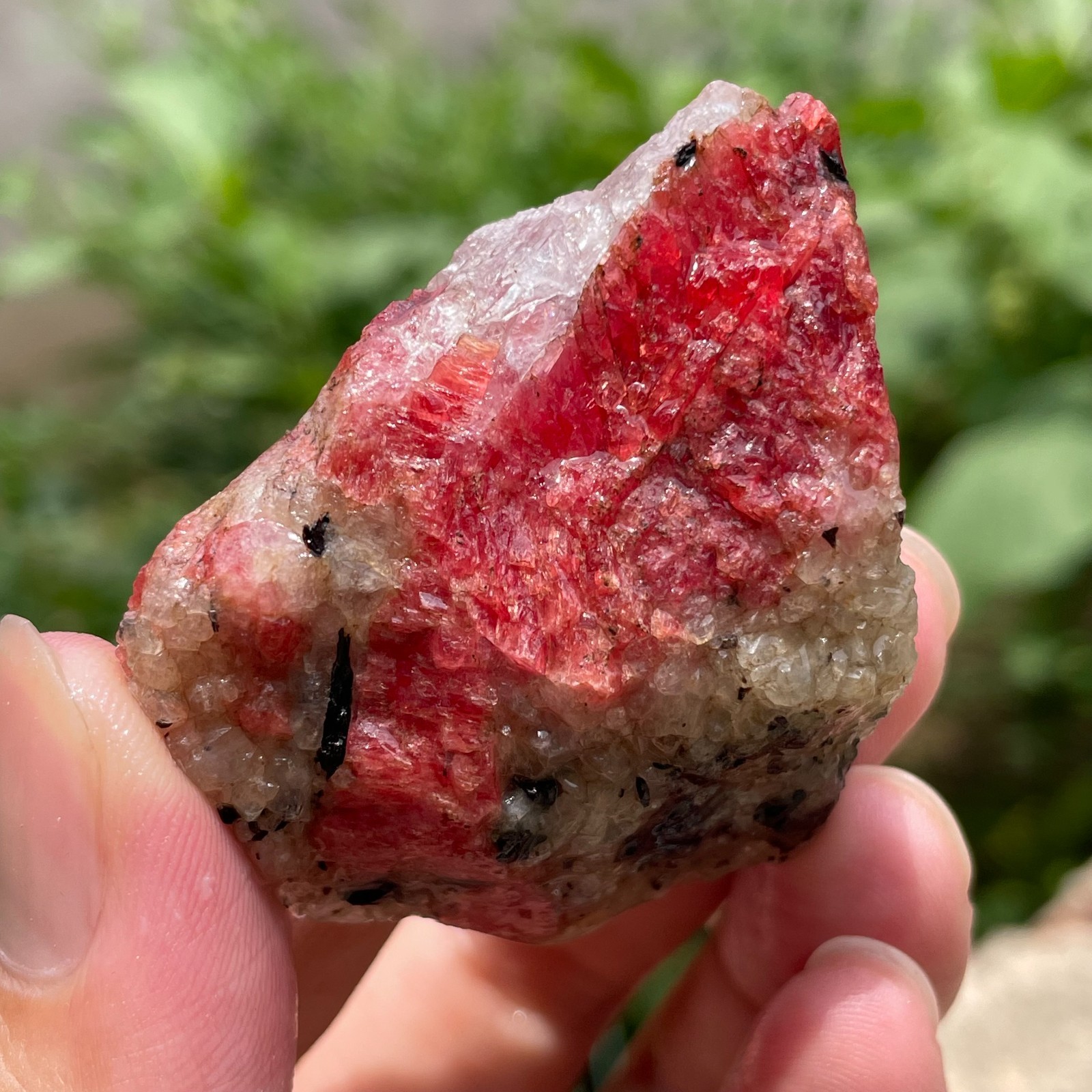 68g Small Raw Ore Red Black Rhodonite Quartz Gemstone Mineral Specimen
