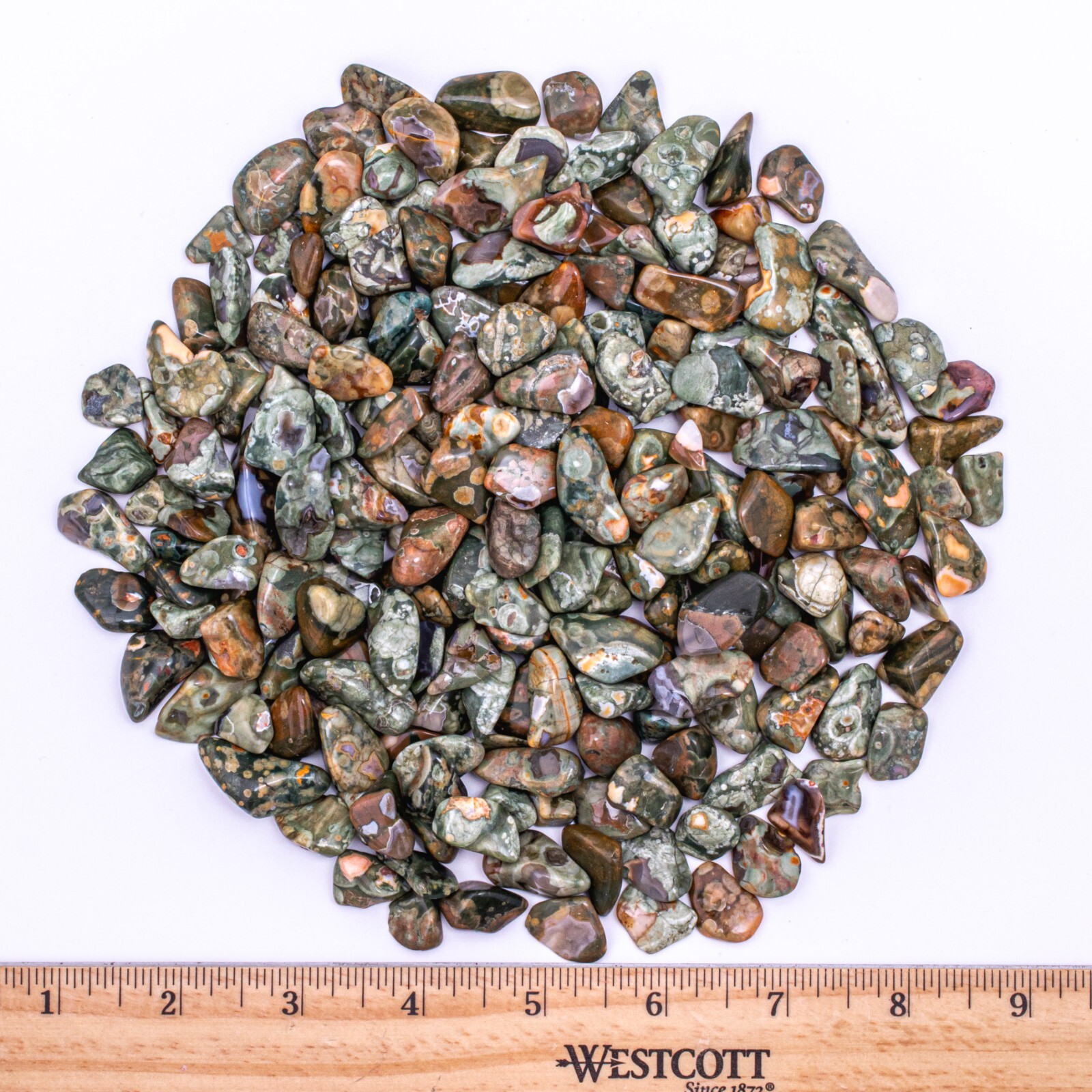 1 lb Tumbled Rainforest Rhyolite Jasper Gemstone Crystals 215-240 Stones Bulk