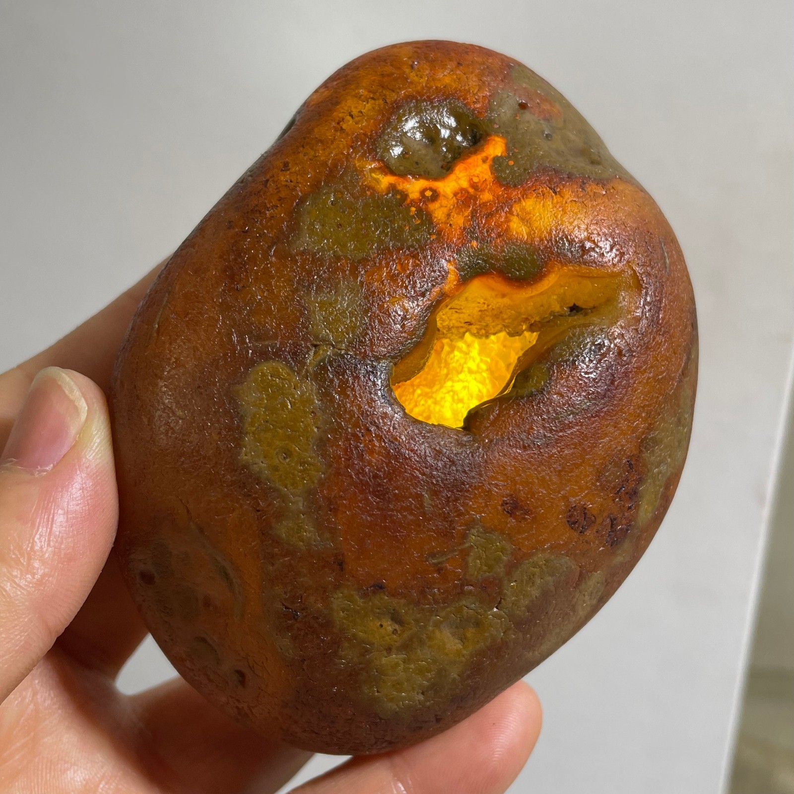 Bonsai Suiseki- Gobi Agate Eyes Stone-Rare Stunning Viewing 290g