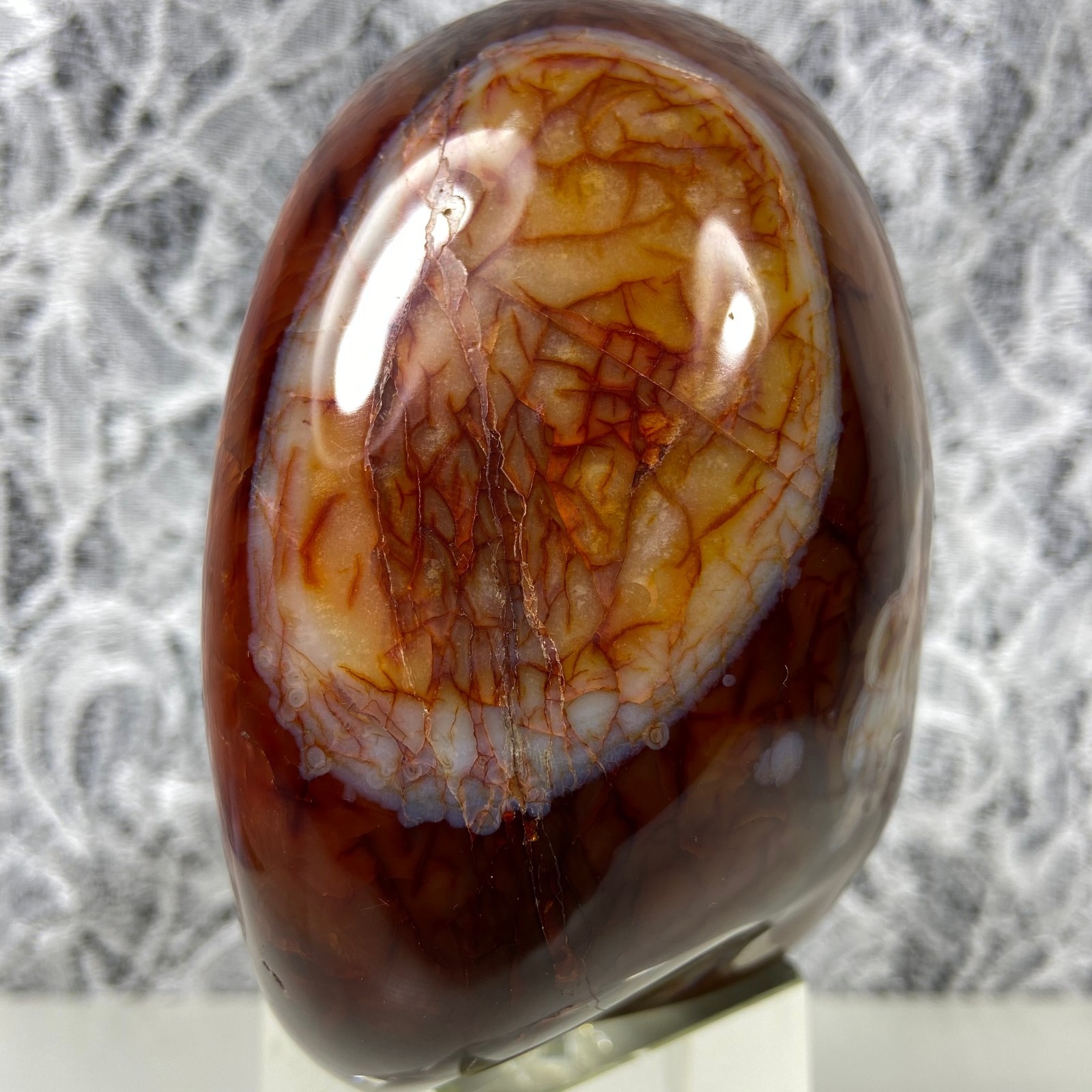 4.1″2.35lb Big Red Agate CARNELIAN Stone Standup Crystal Reiki Madagascar Y909