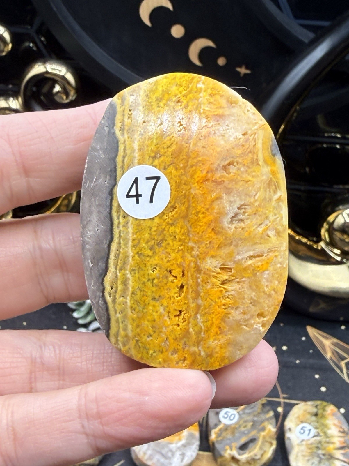 Natural Bumblebee Jasper Palms Druze vugs raw Free shipping