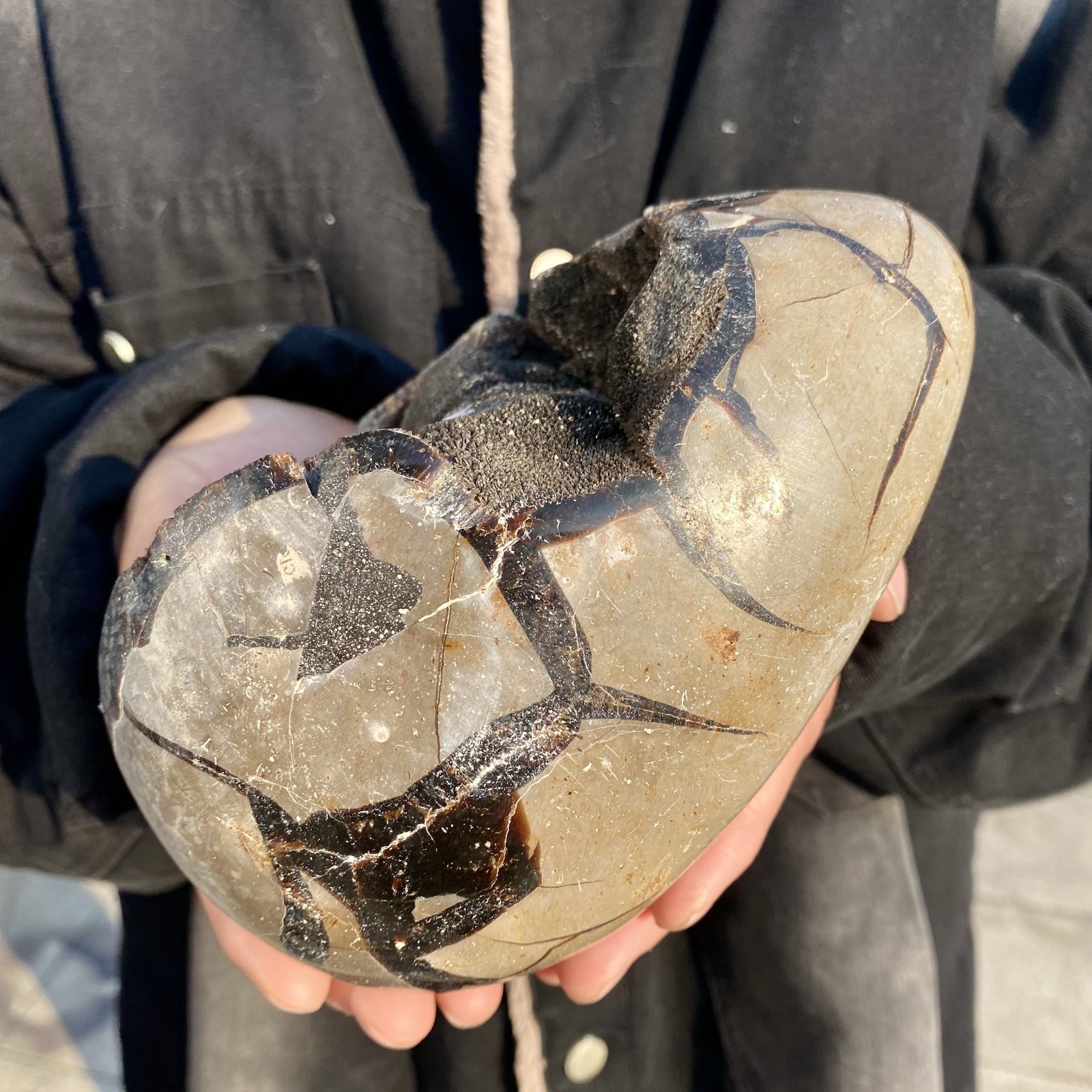 5.2LB natural turtle shell stone egg spiritual healing