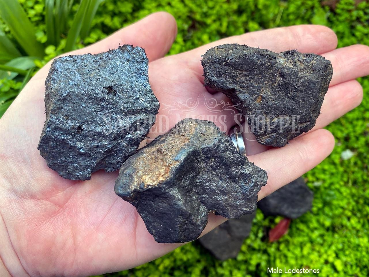 Lodestone Large Magnetite Choose Female, Male, Pair for Attraction Luck Balance
