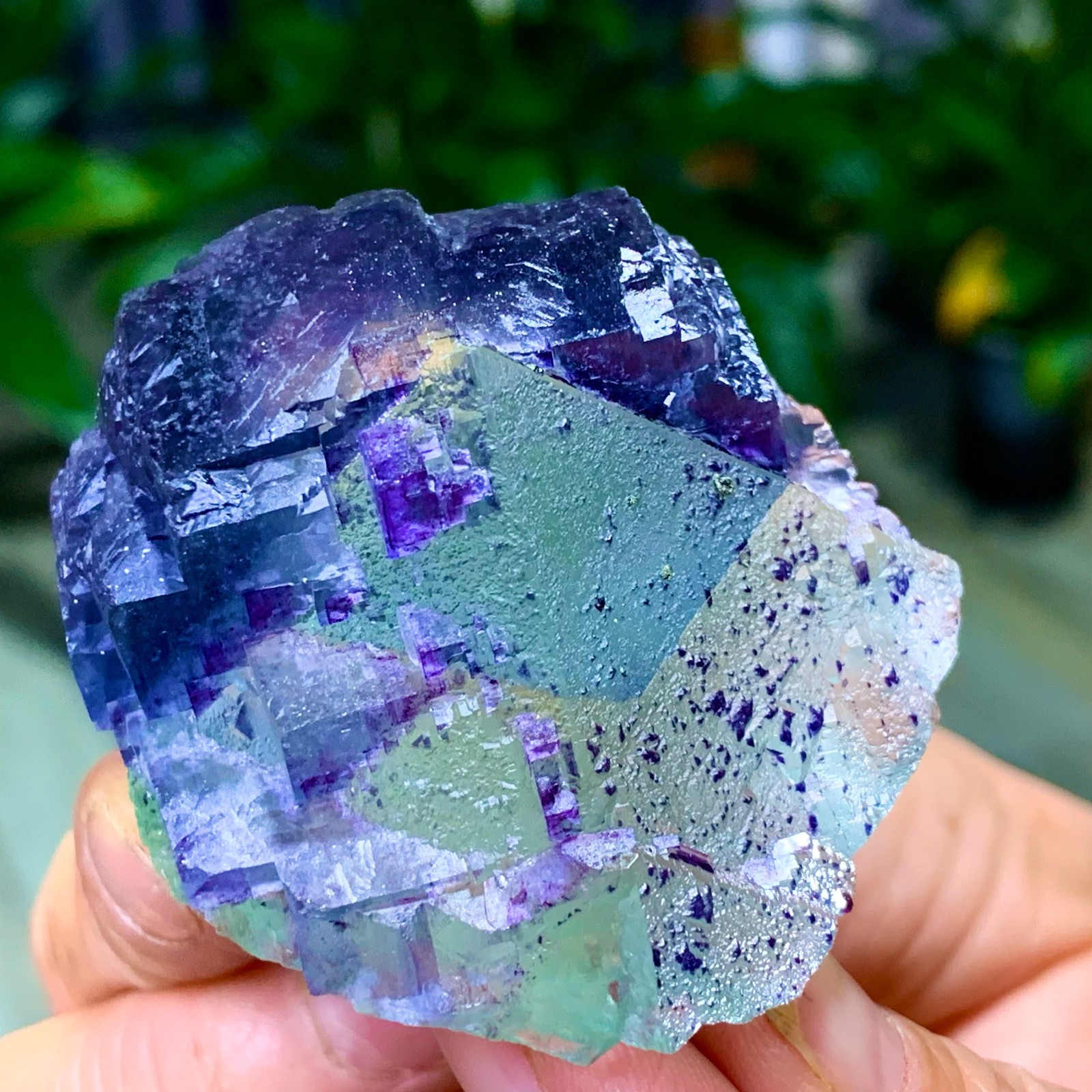 123G Rare transparent green purple cubic Zhejiang fluorite mineral sample