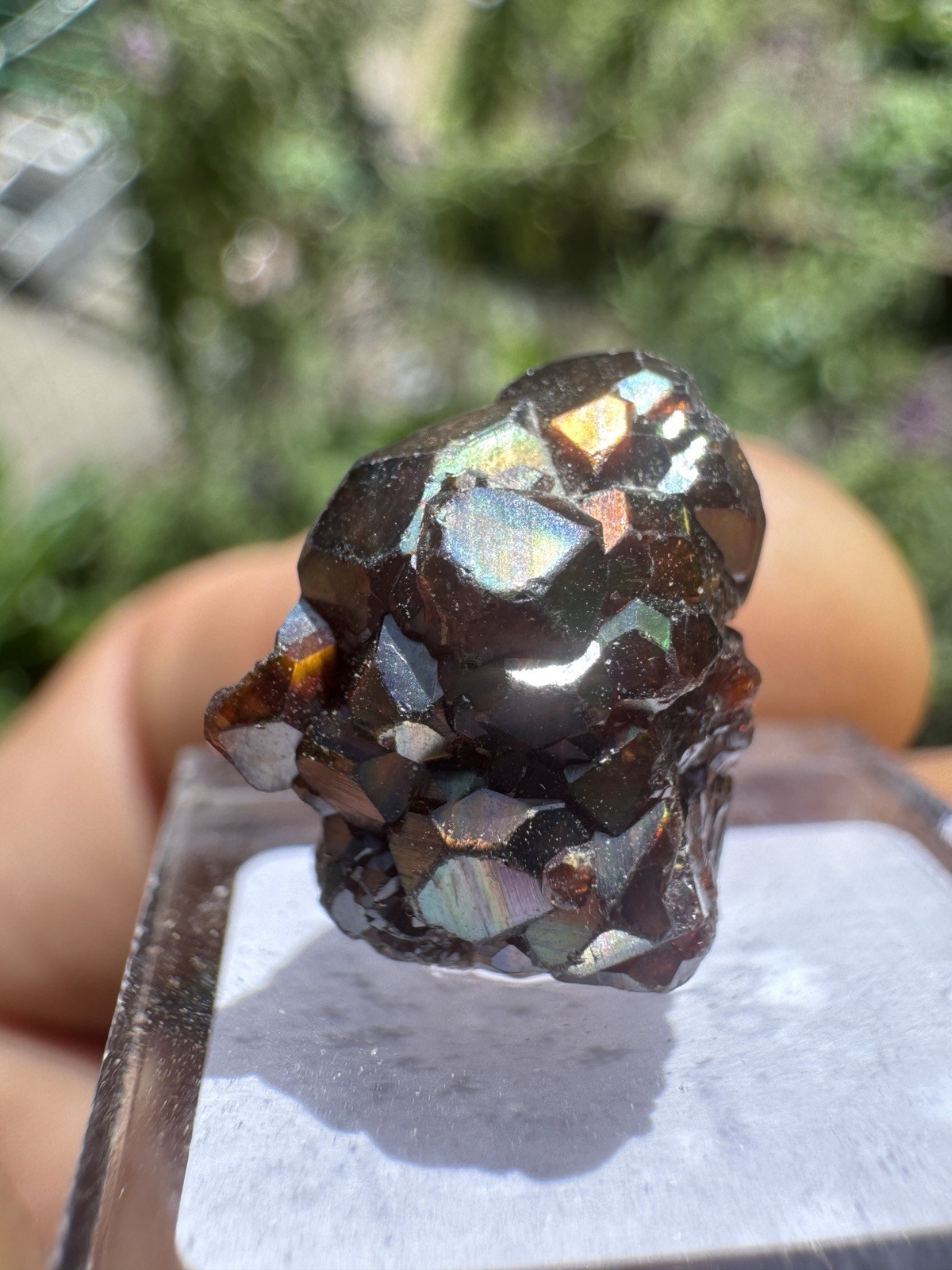 Excellent Rainbow Garnet Cluster From Arlit, Niger
