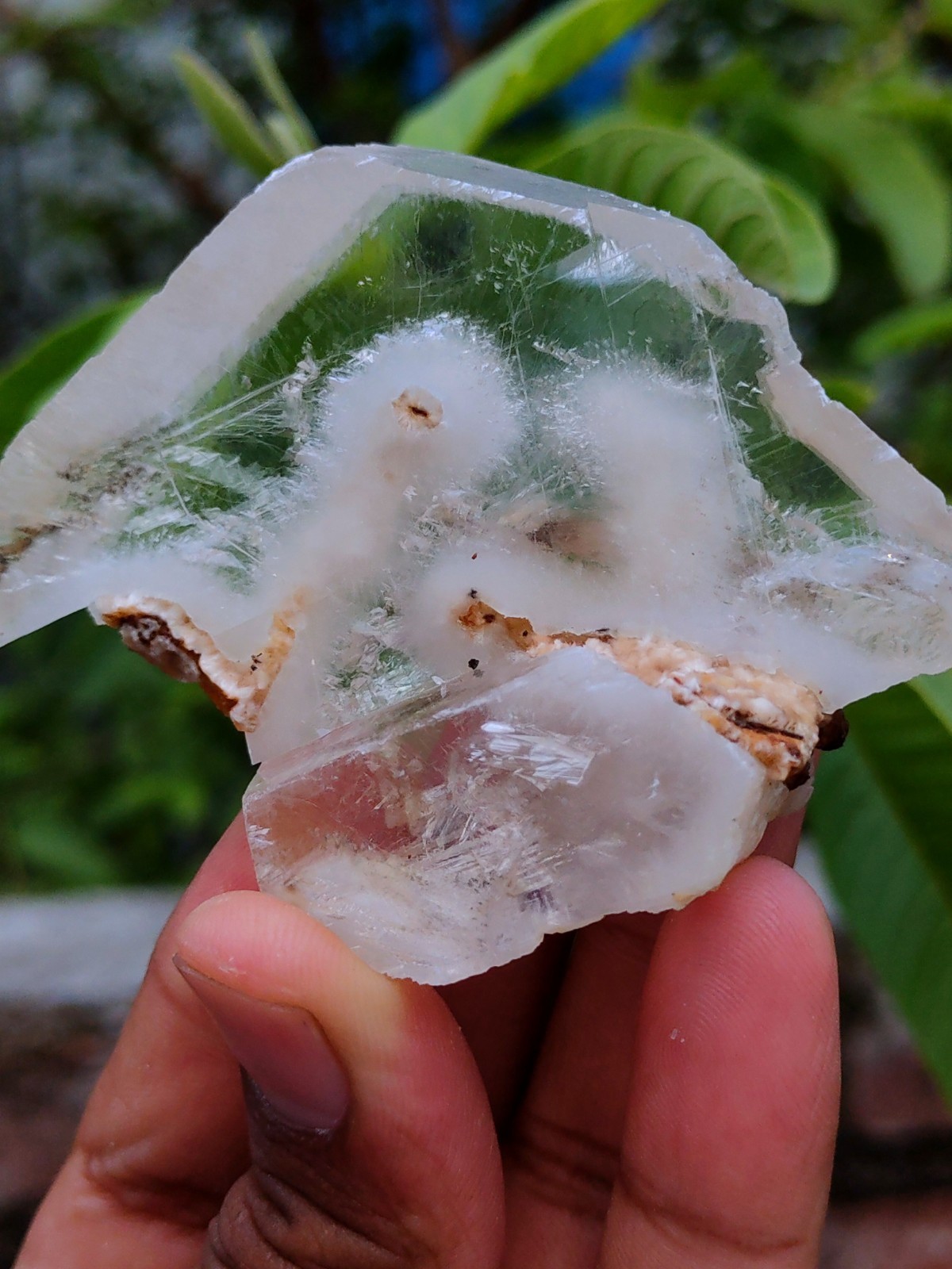 Okenite Tree 🌲 in Calcite. Phantom Calcite, Natural mineral specimen.
