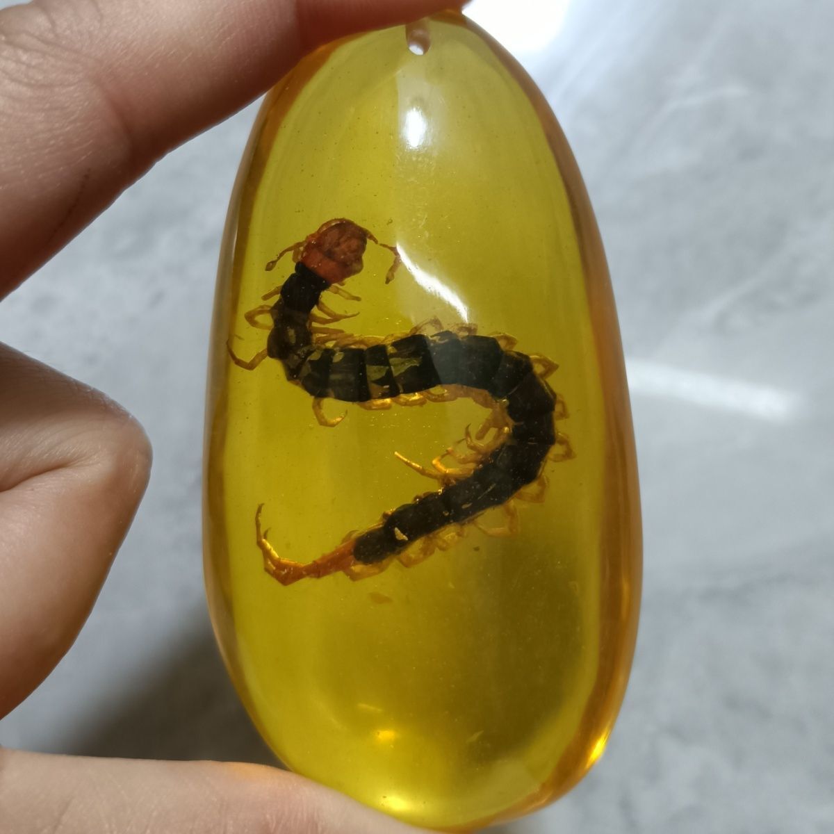 Insect Amber Pendant Centipede Long Sweater Necklace for Men Women Jewelry