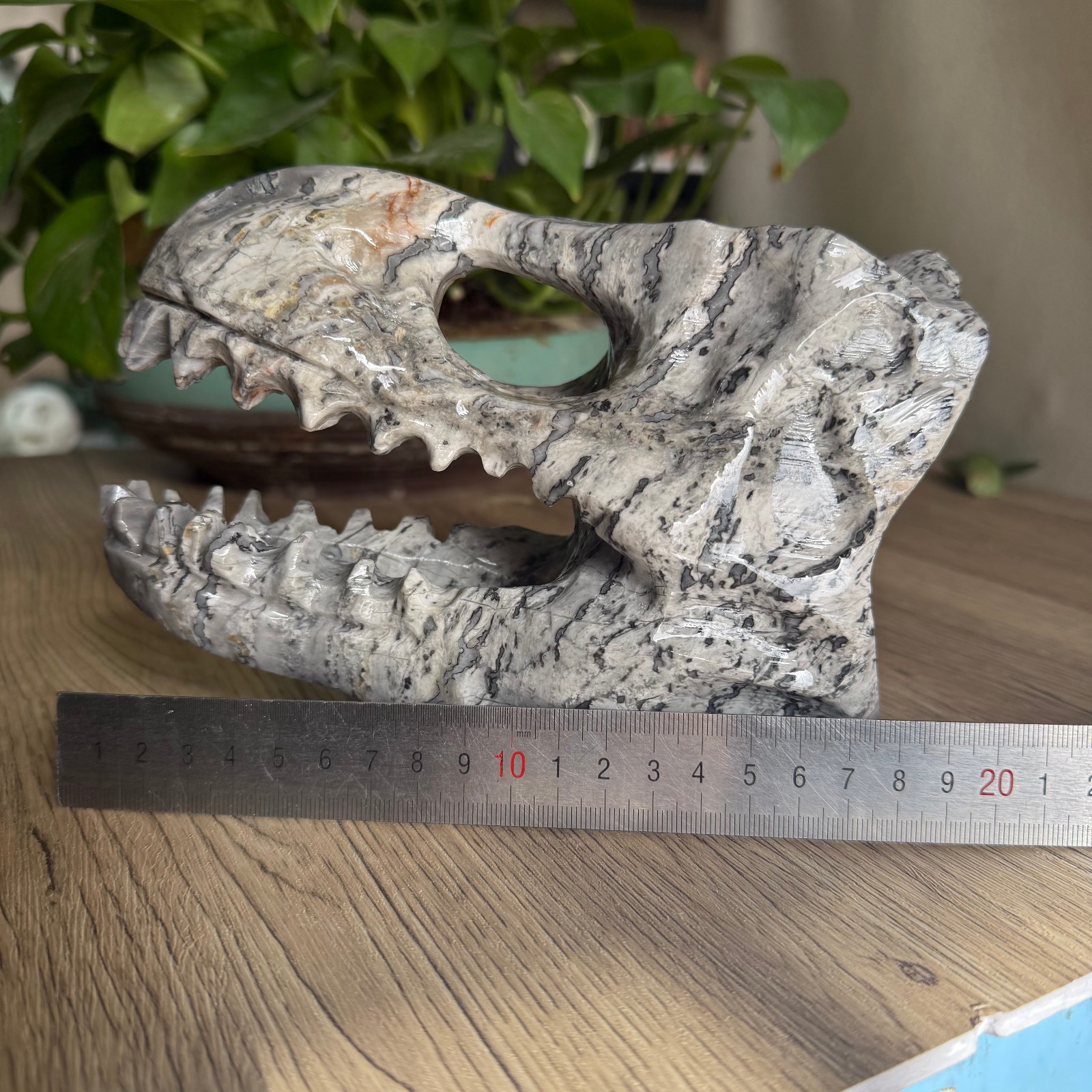 3LB natural Zebra stone Dinosaur skull carved Quartz Crystal reiki Gift