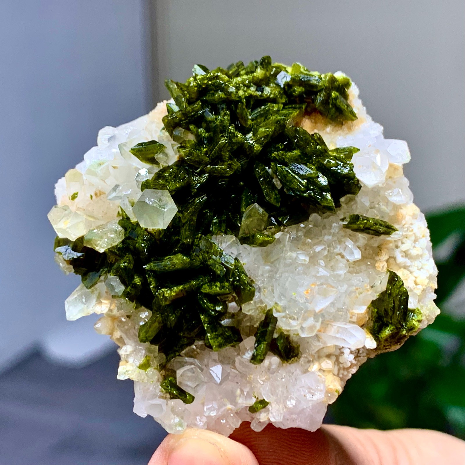 46g Natural Garden quartz cluster specimen tourmaline mineral healing SiChuan
