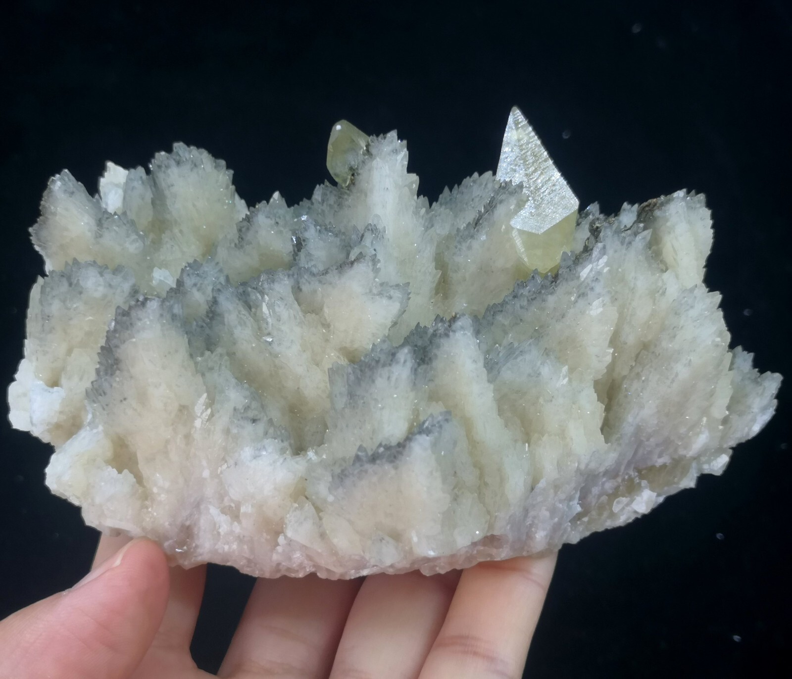 125mm 526g Dog-teeth Calcite & Chalcopyrite on ‘White Dragon Scale’ Calcite