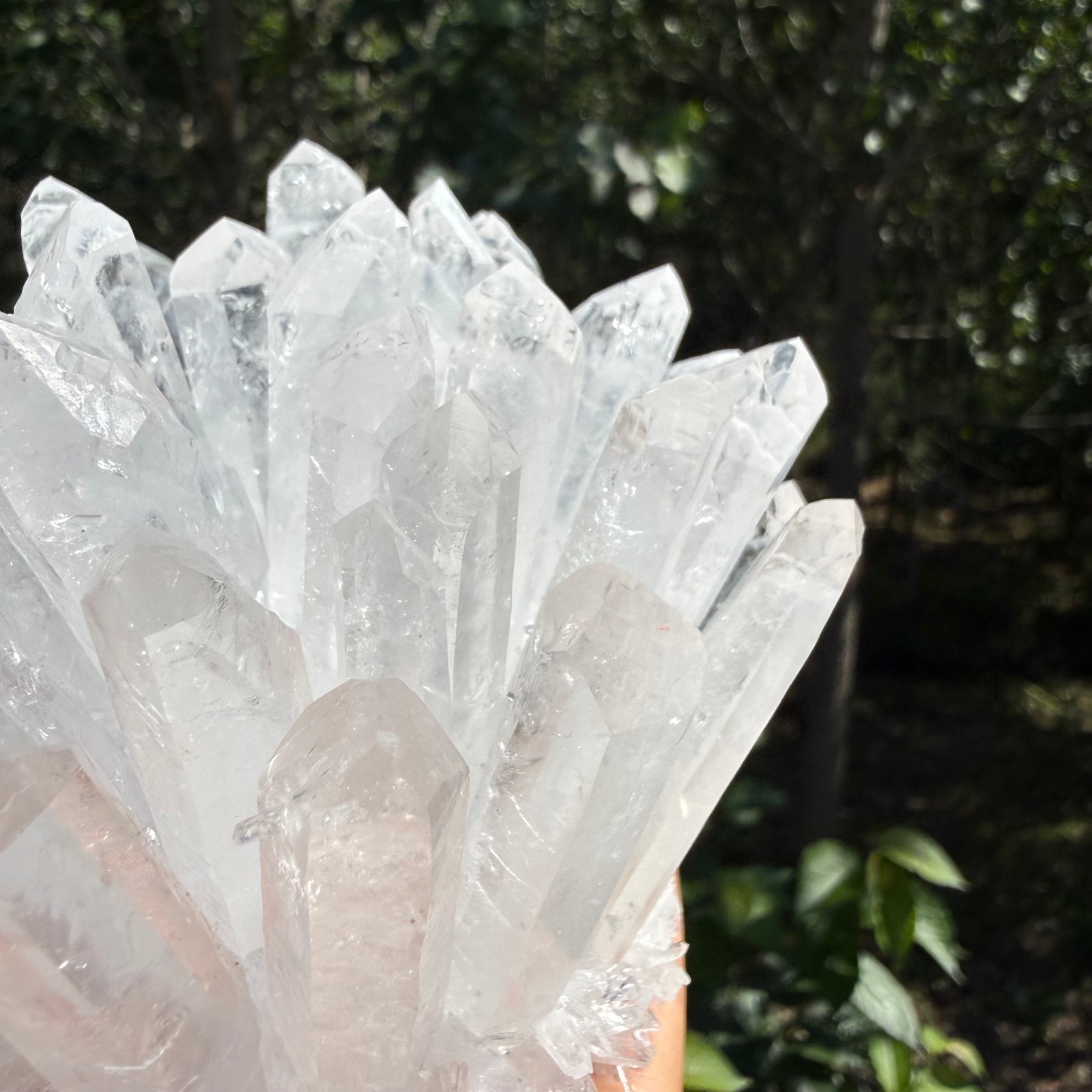 2.2LB Large Natural White Clear Quartz Cluster Crystal Mineral Healing 1pc