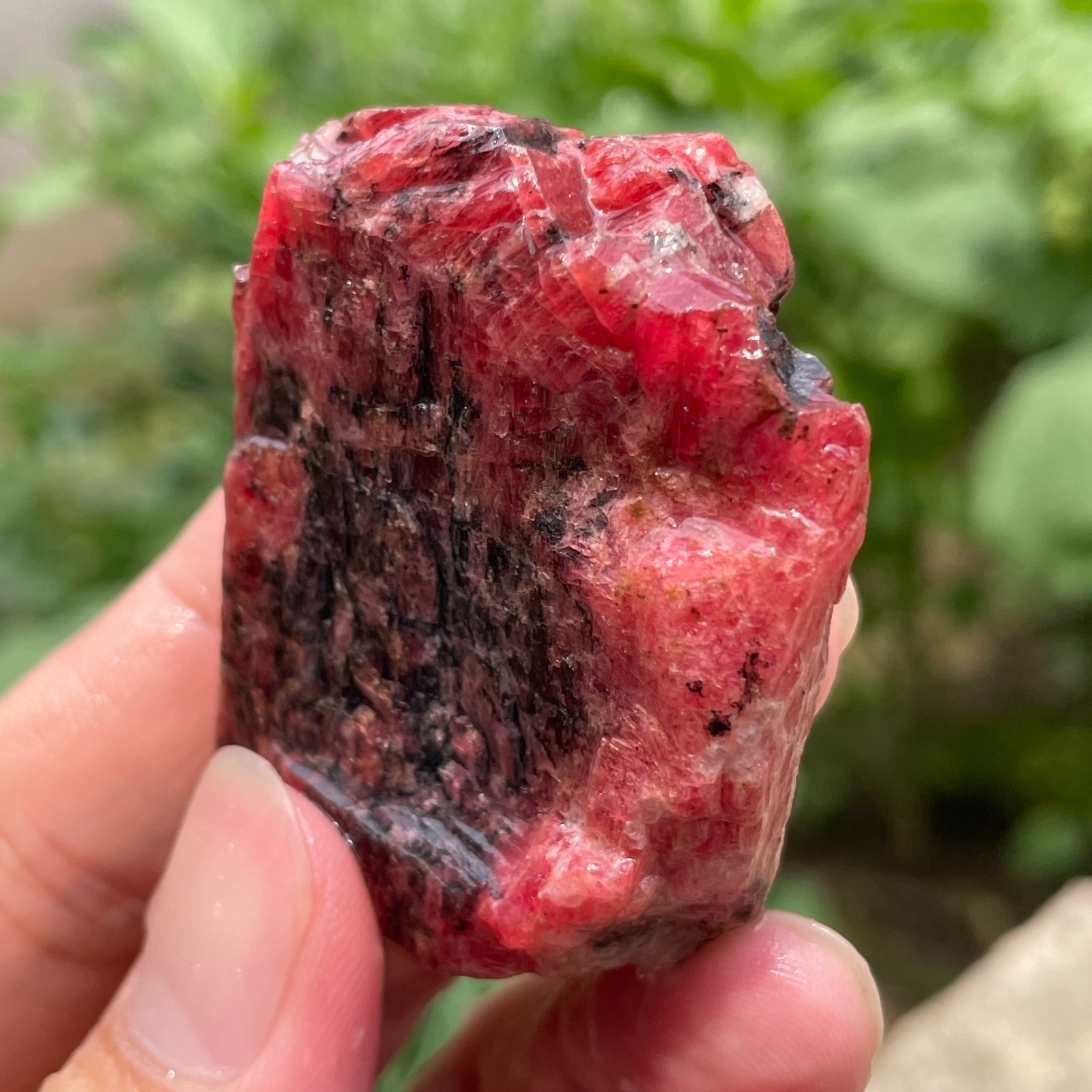 74g Small Raw Ore Red Black Rhodonite Quartz Gemstone Mineral Specimen