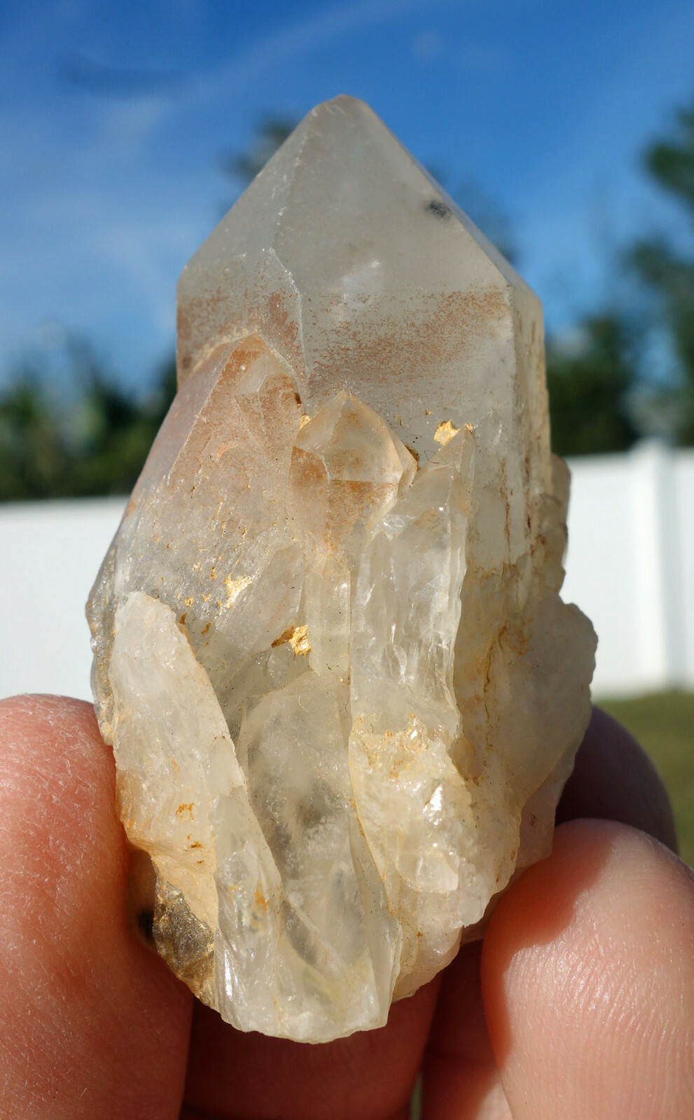 Star HOLLANDITE in Clear Quartz Crystal Point a Lightbrary Teacher Student Stone