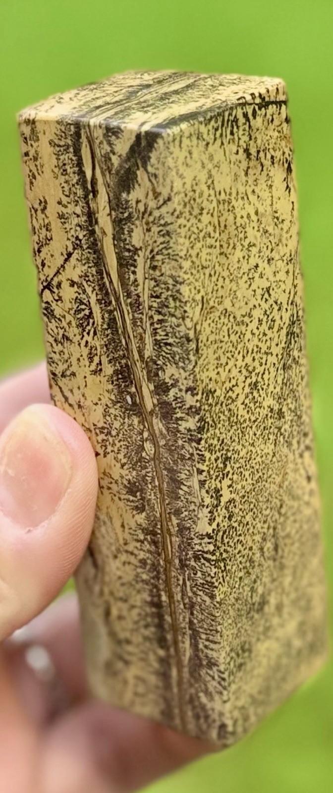 Picture Jasper Column 227g