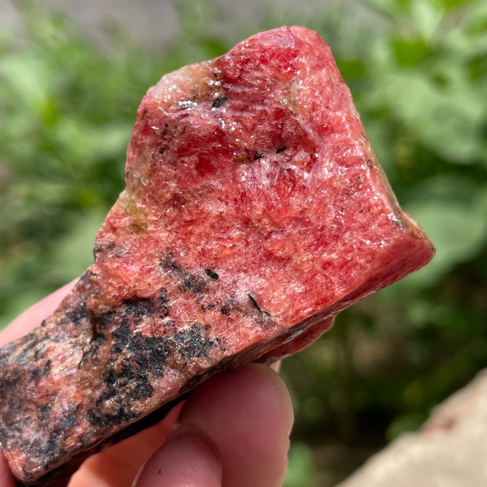 69g Small Raw Ore Red Black Rhodonite Quartz Gemstone Mineral Specimen