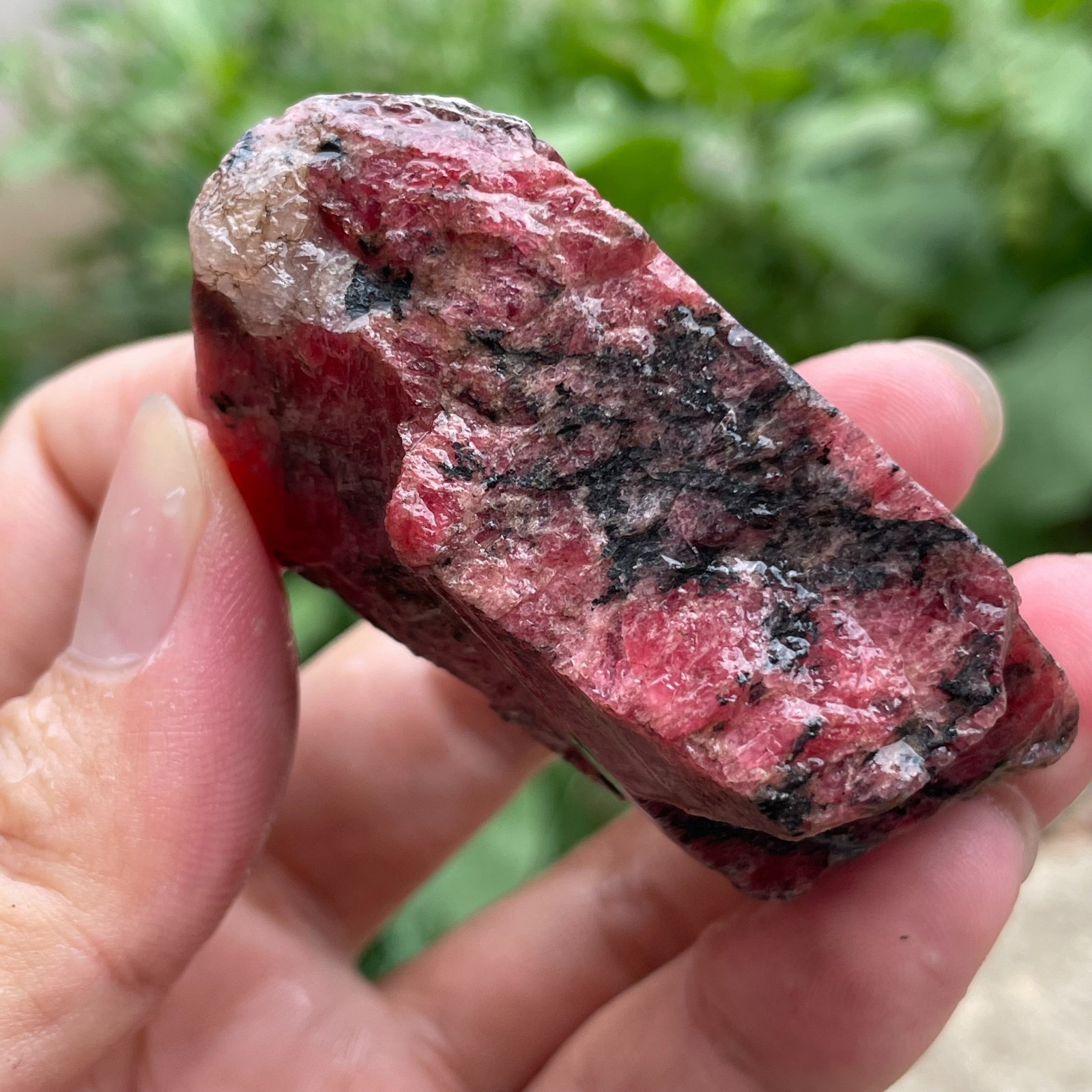 135g Small Raw Ore Red Black Rhodonite Quartz Gemstone Mineral Specimen