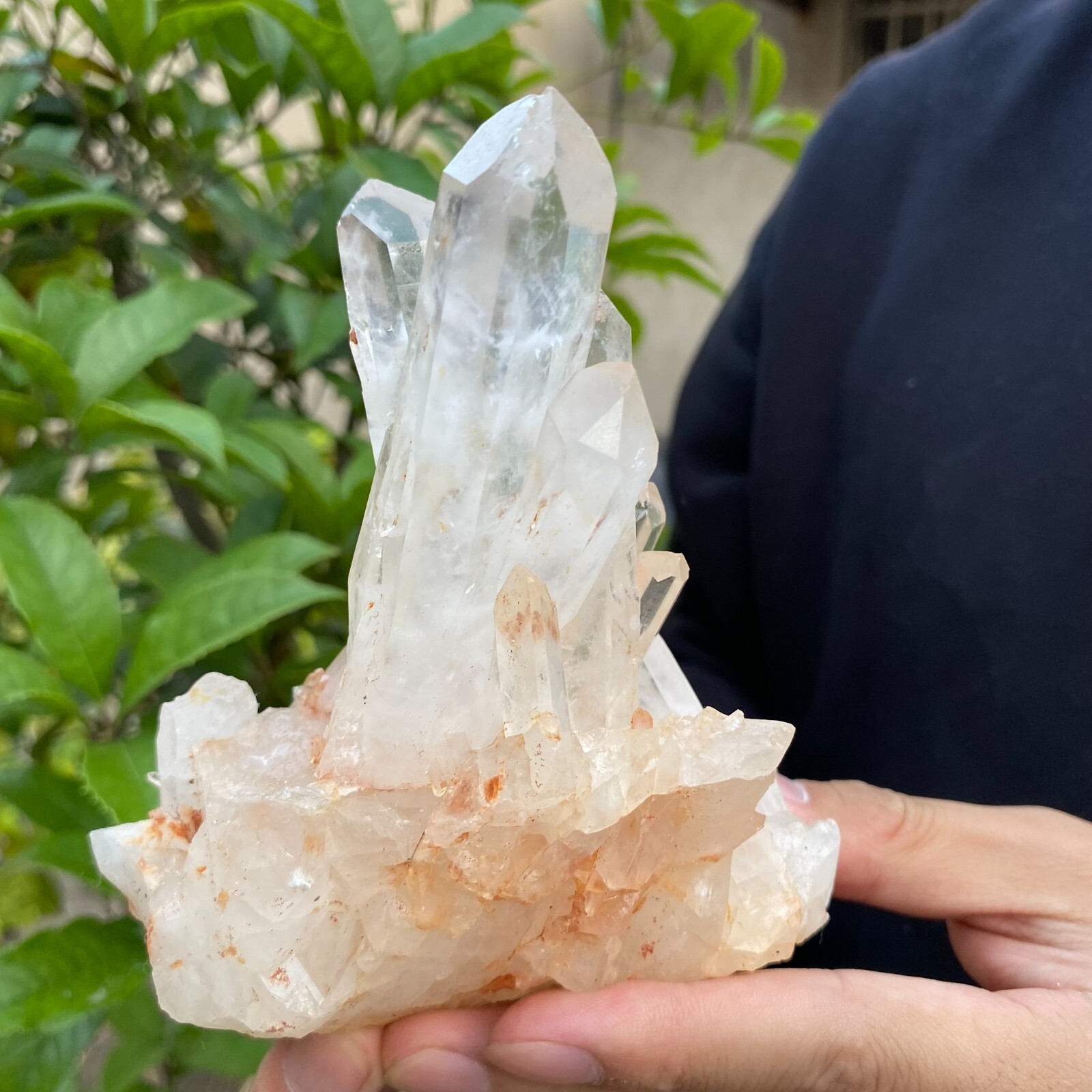 1.2lb Natural Clear White quart Crystal Cluster Raw Healing Specimen