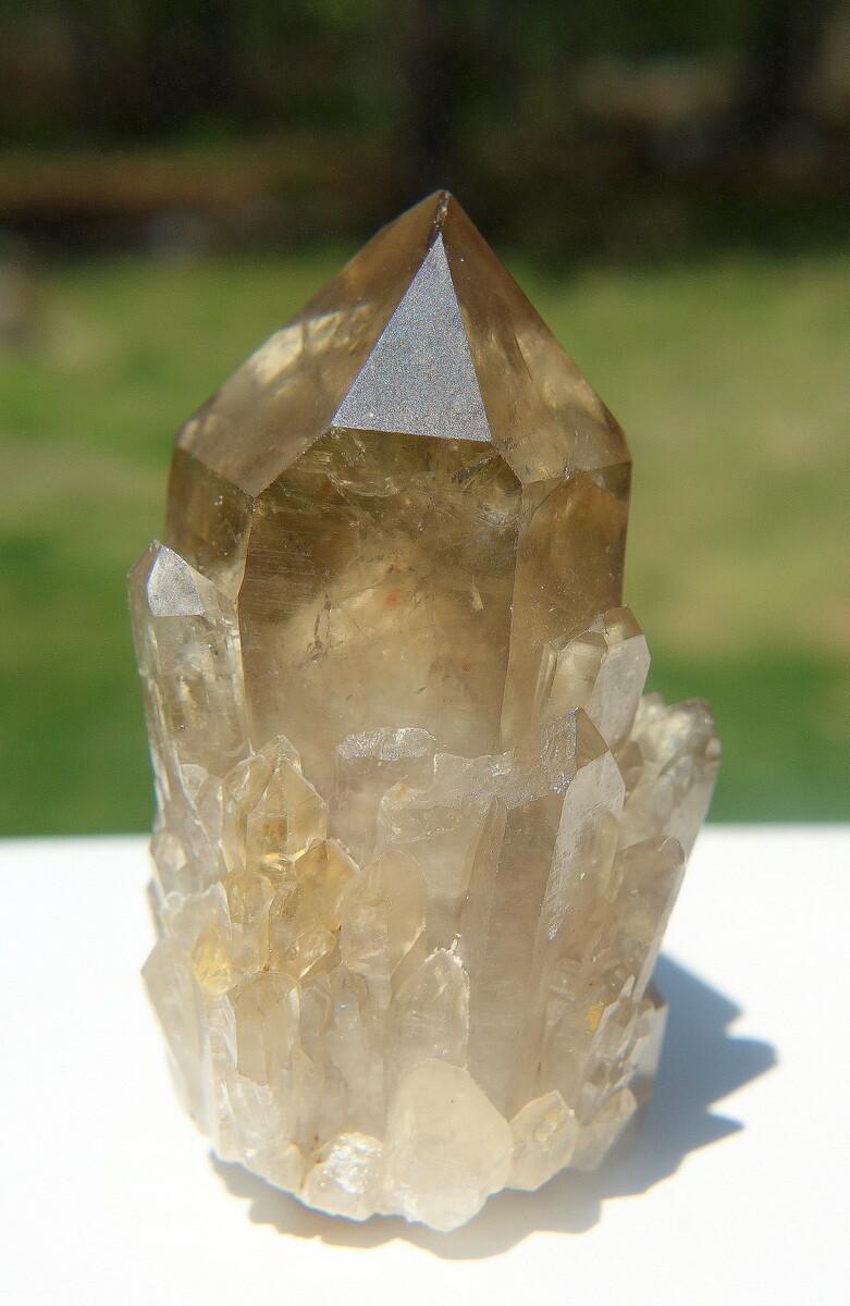 Kundalini Citrine Elestial Crystal Lightbrary Lwena Deposit DRC