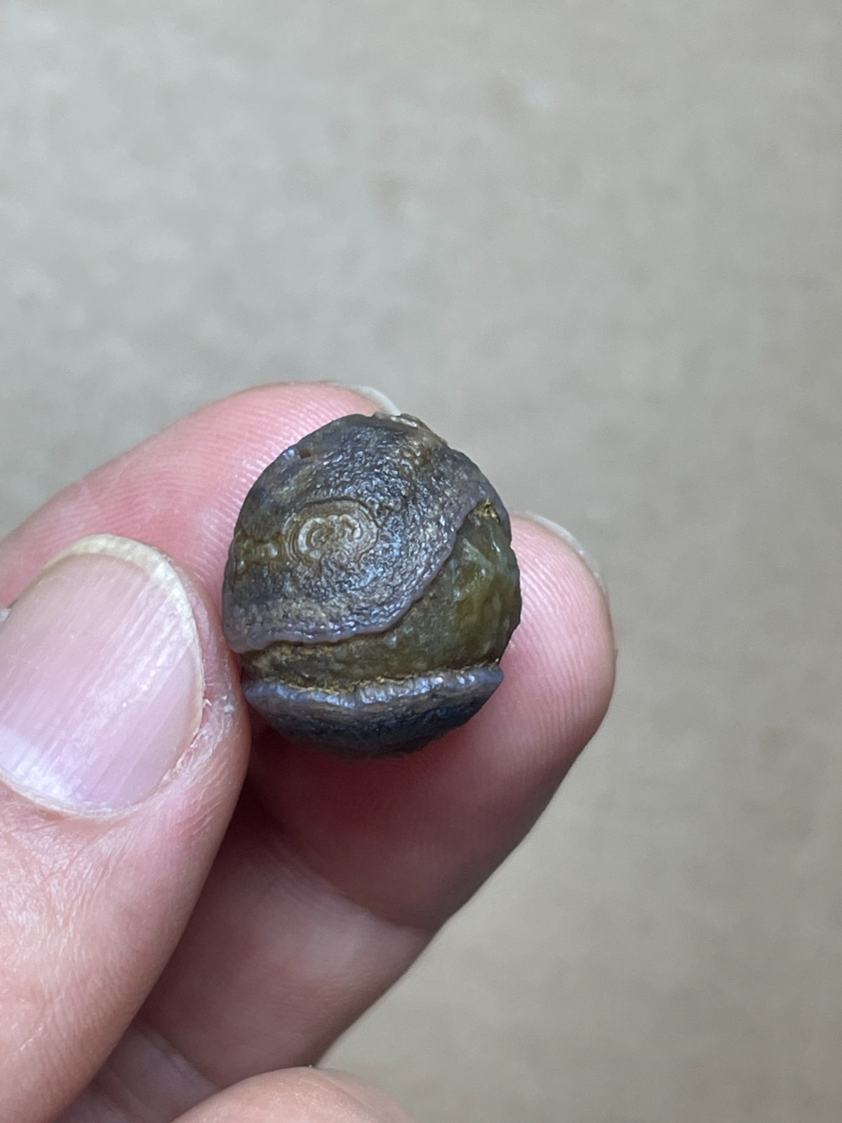 19mm Beautiful Natural agate Gobi agate eye agate cute collection