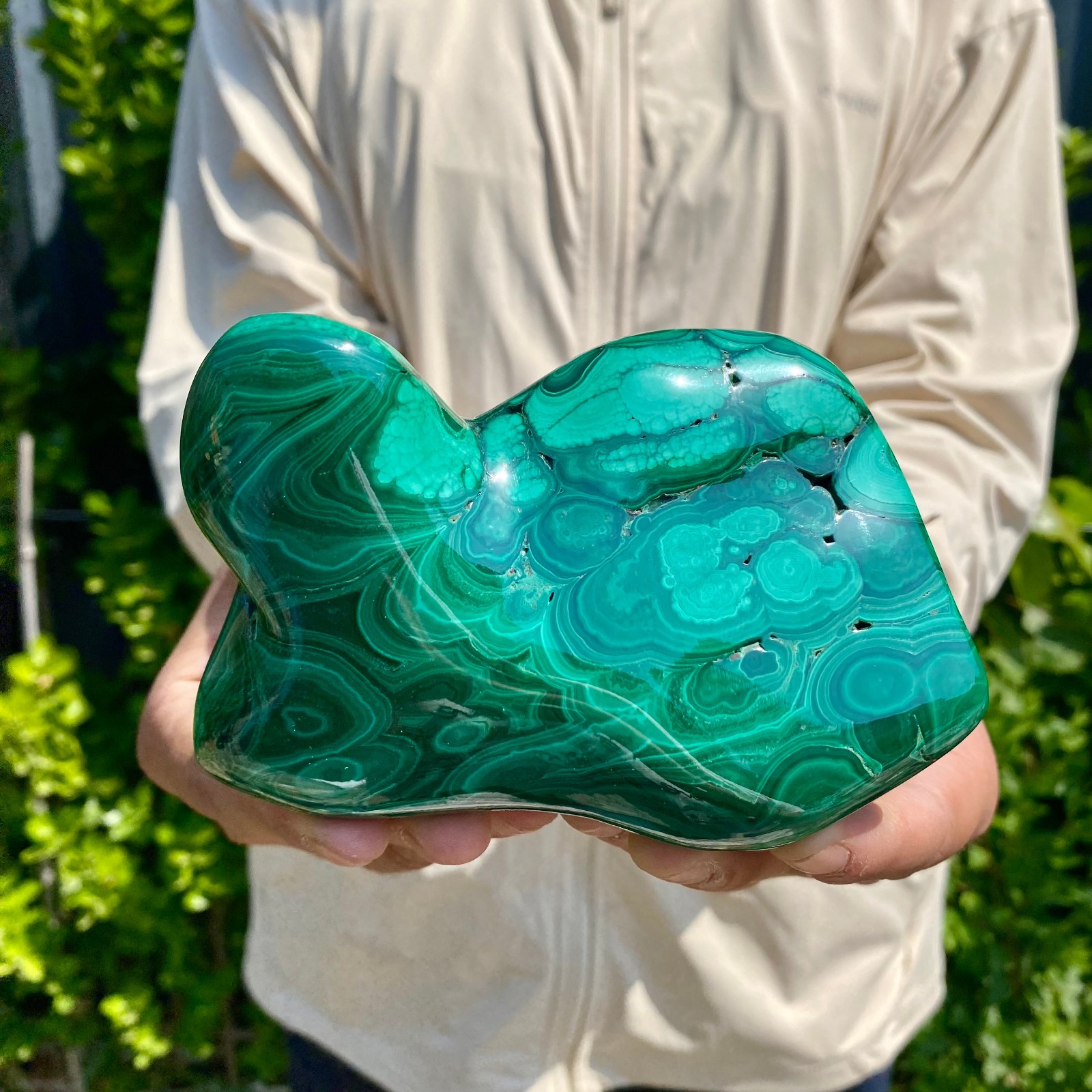 1.46LB Natural glossy Malachite transparent cluster rough mineral sample