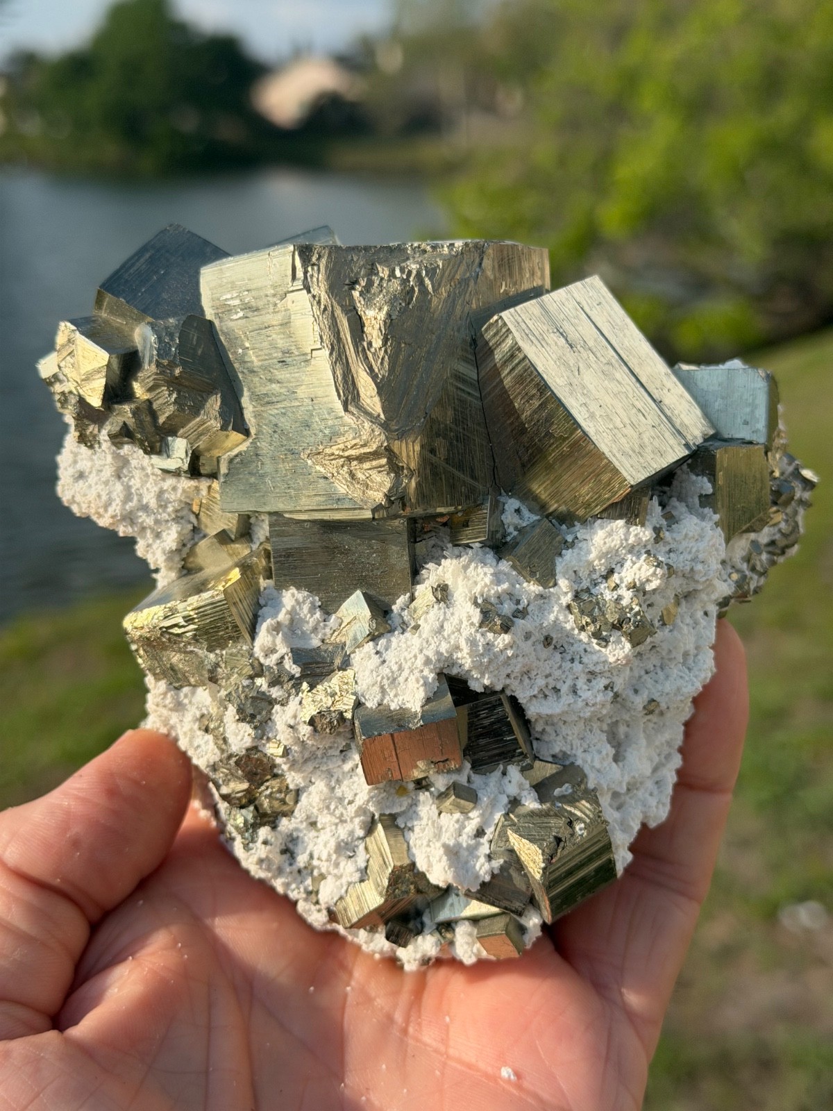 AA PYRITE Crystal CUBE Cluster Huanzala Mine Peru 2.9 LBS 3 3/4″ High x 5″