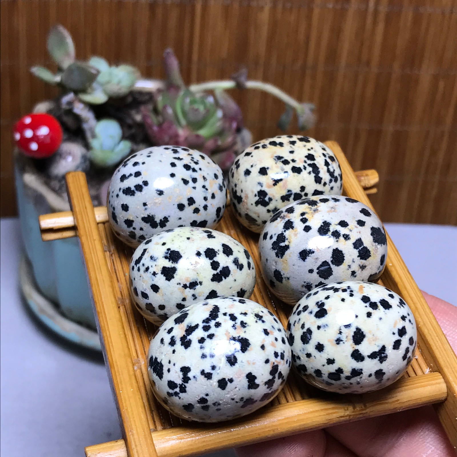 28-22-21mm 6Pcs Natural spotted stone Crystal gemstone Mineral Specimen A4402