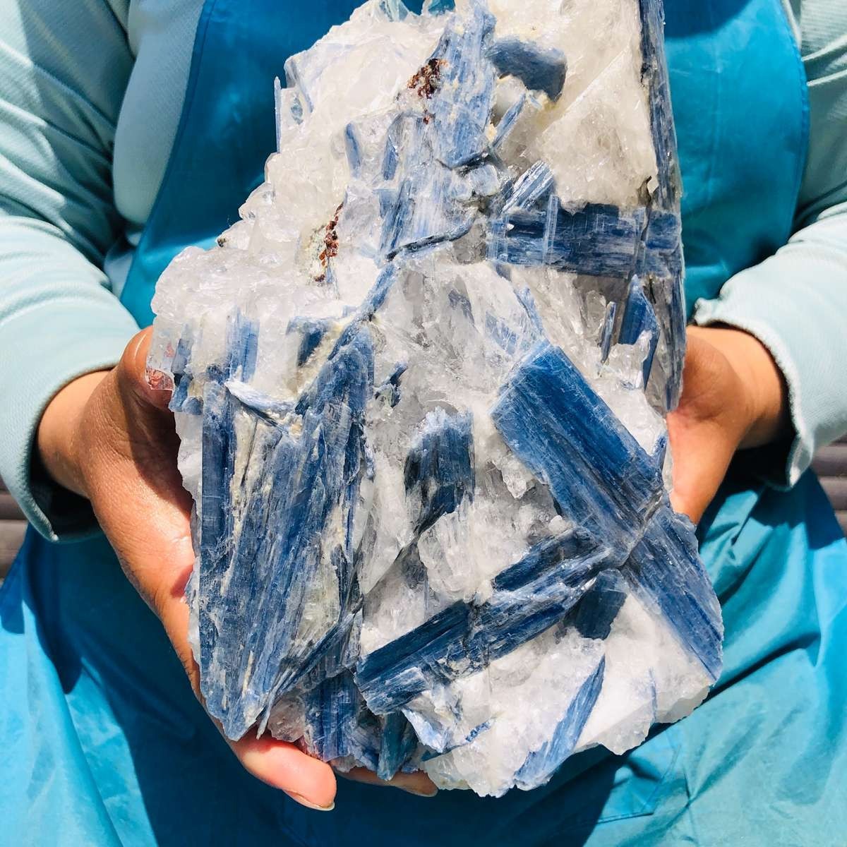 9.46LB Natural Blue Kyanite Cluster with Clear Quartz Matrix Crystal Specimen